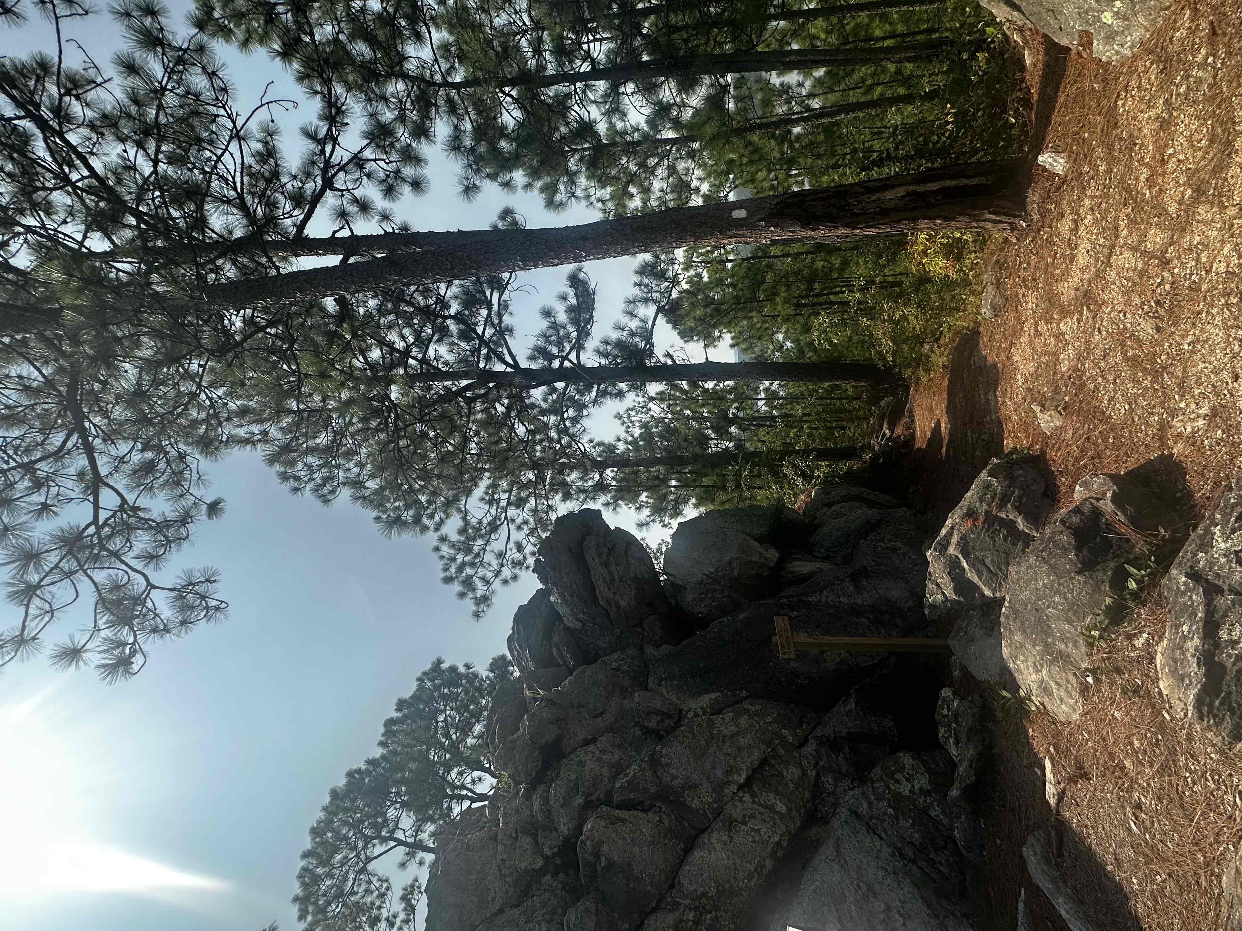Smith Mountain Fire Tower (Lake Martin)