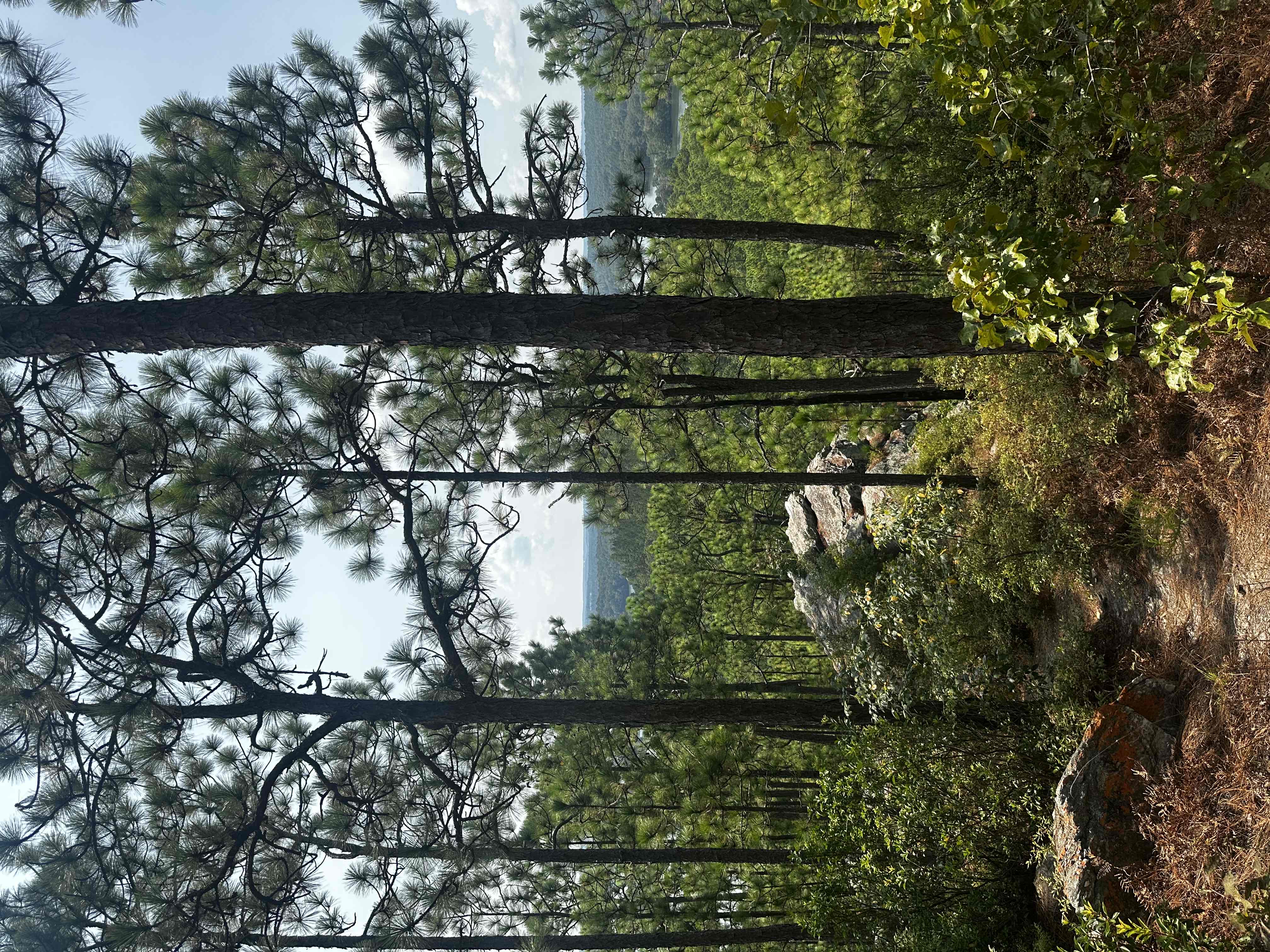 Smith Mountain Fire Tower (Lake Martin)