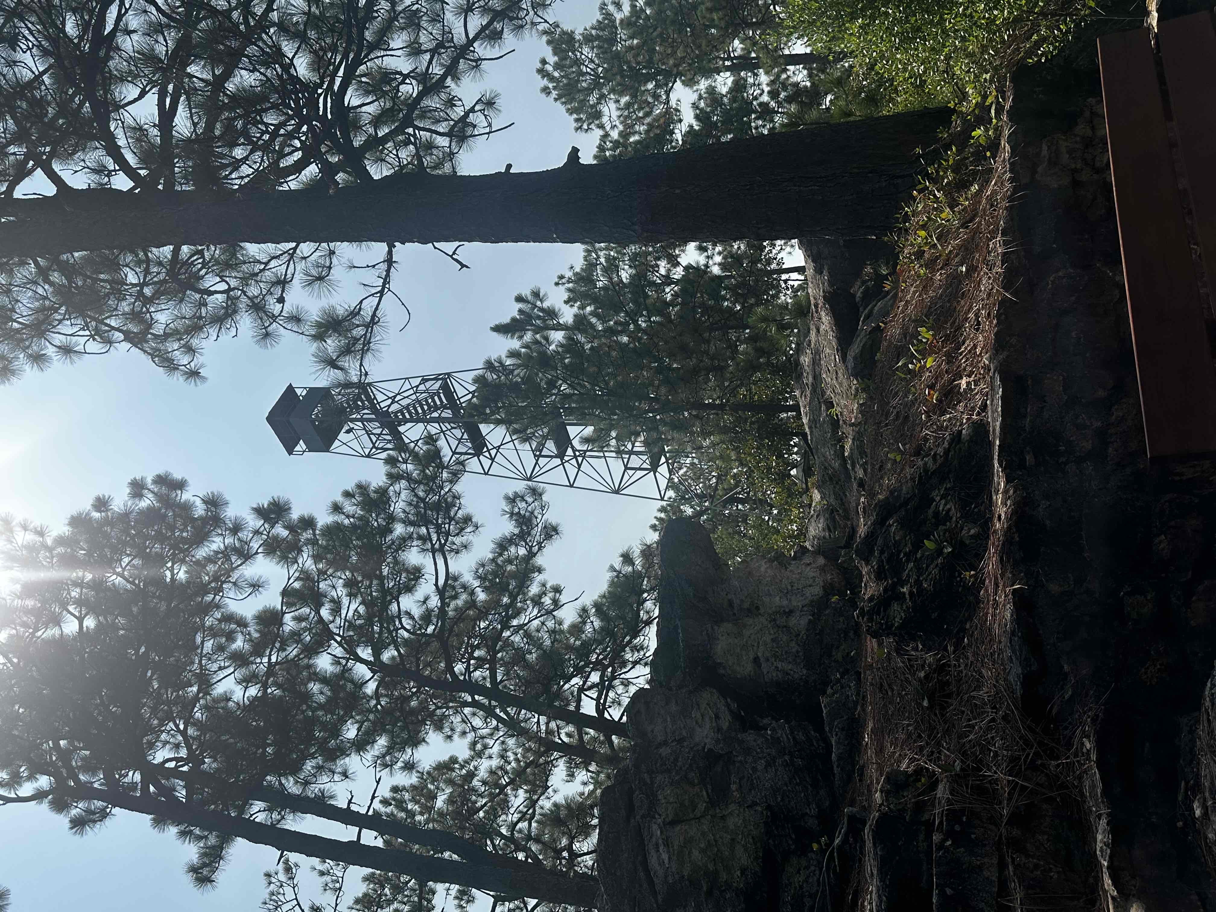 Smith Mountain Fire Tower (Lake Martin)