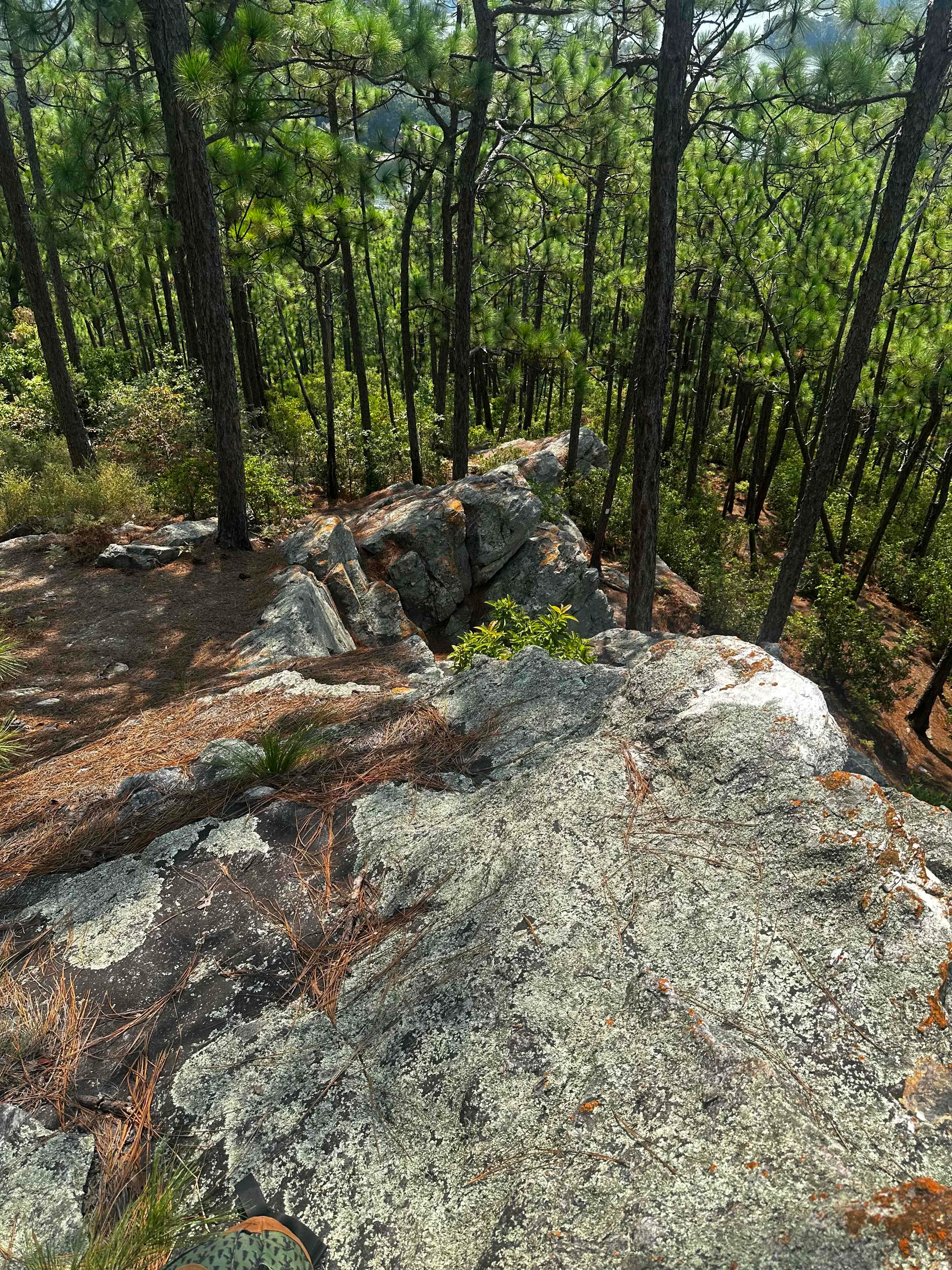 Smith Mountain Fire Tower (Lake Martin)