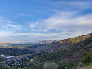 Rattlesnake Gulch Trail