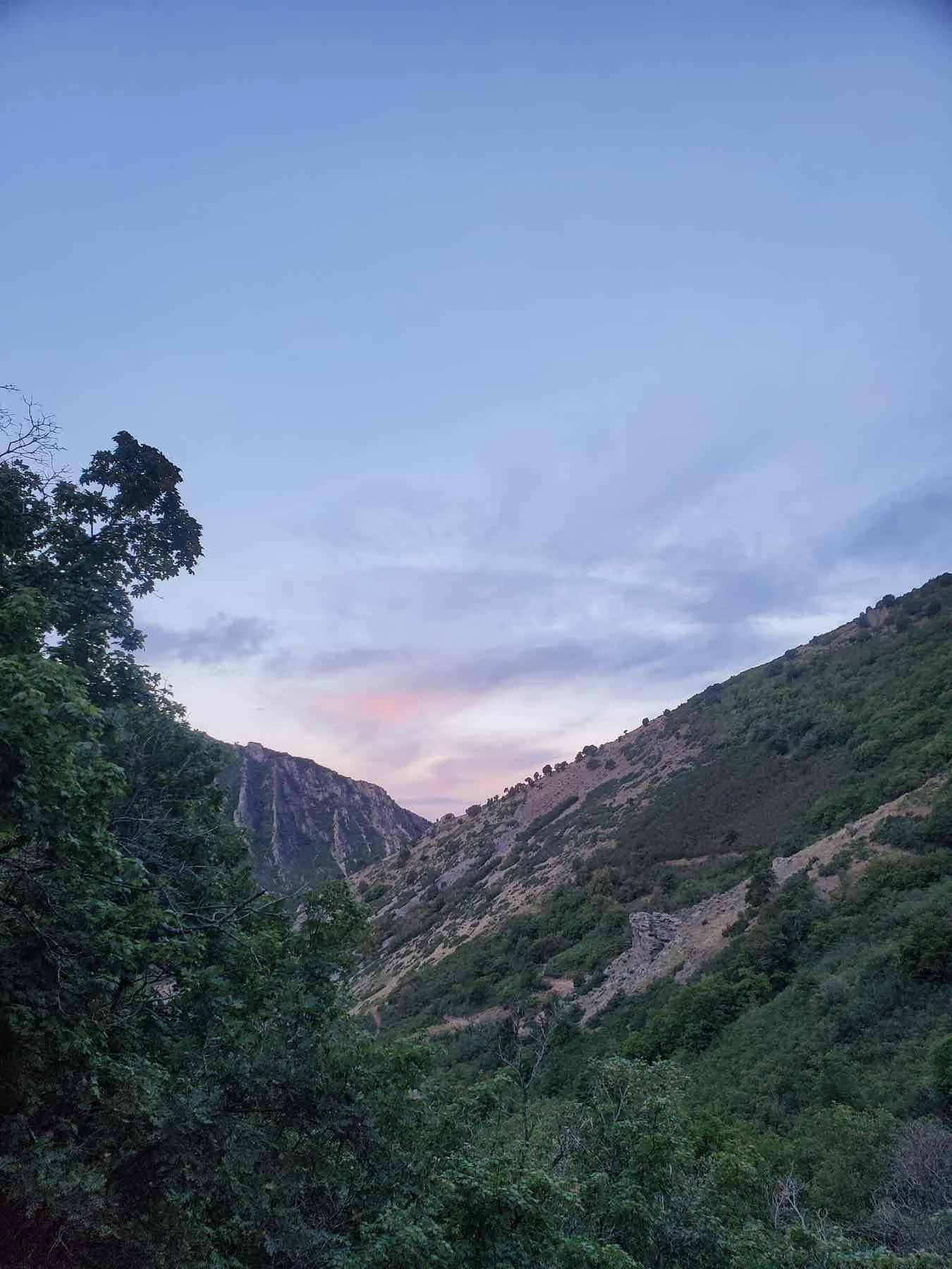 Rattlesnake Gulch Trail