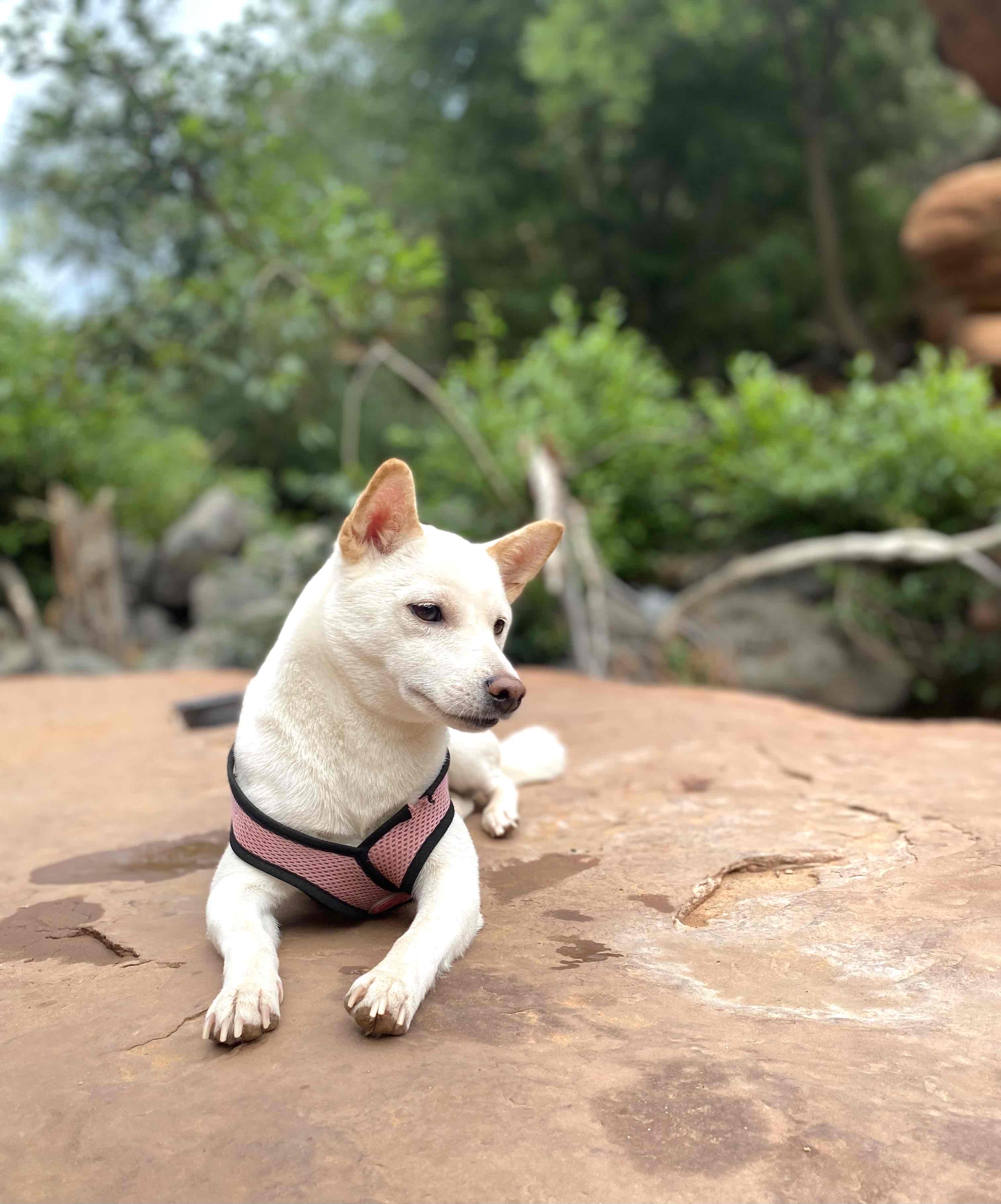 'The Crack' at Wet Beaver Creek