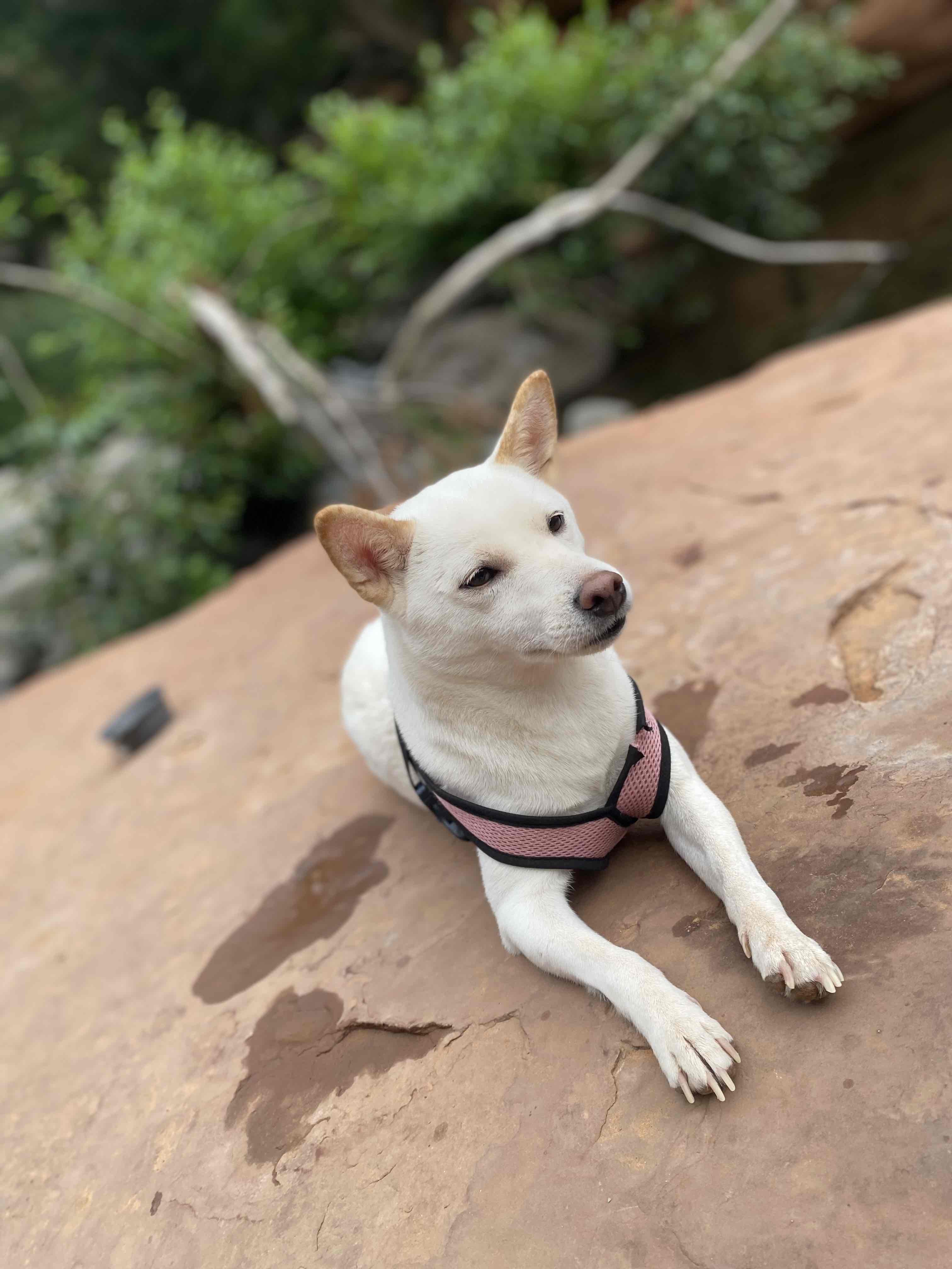 'The Crack' at Wet Beaver Creek