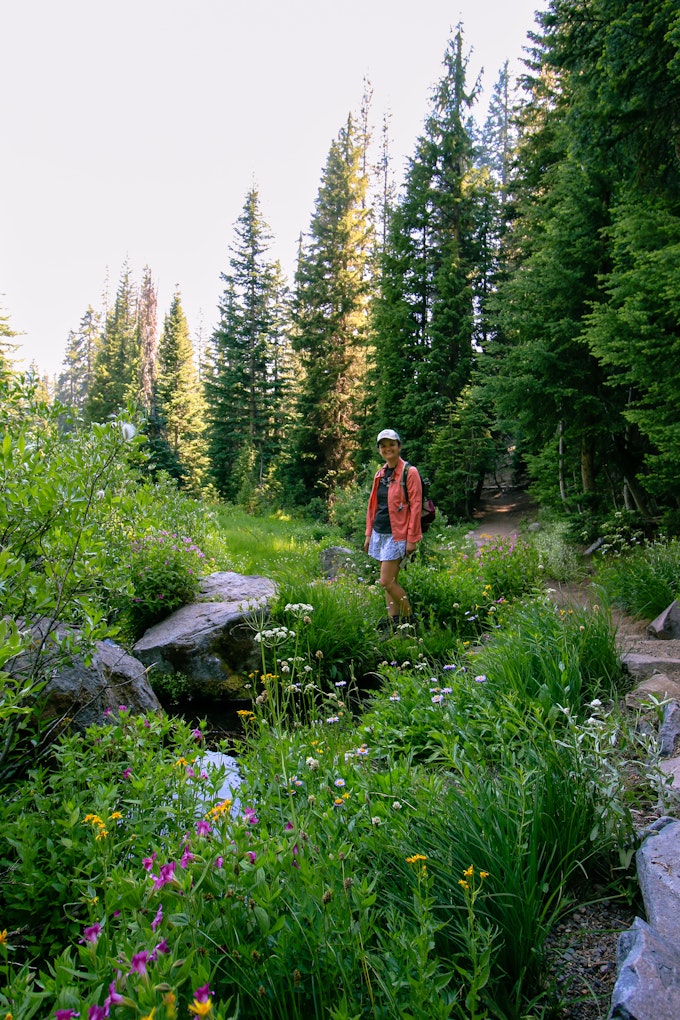 A person in a pink shirt is standing on a hiking trail. The trail is surrounded by wildflowers and tall, green pine trees