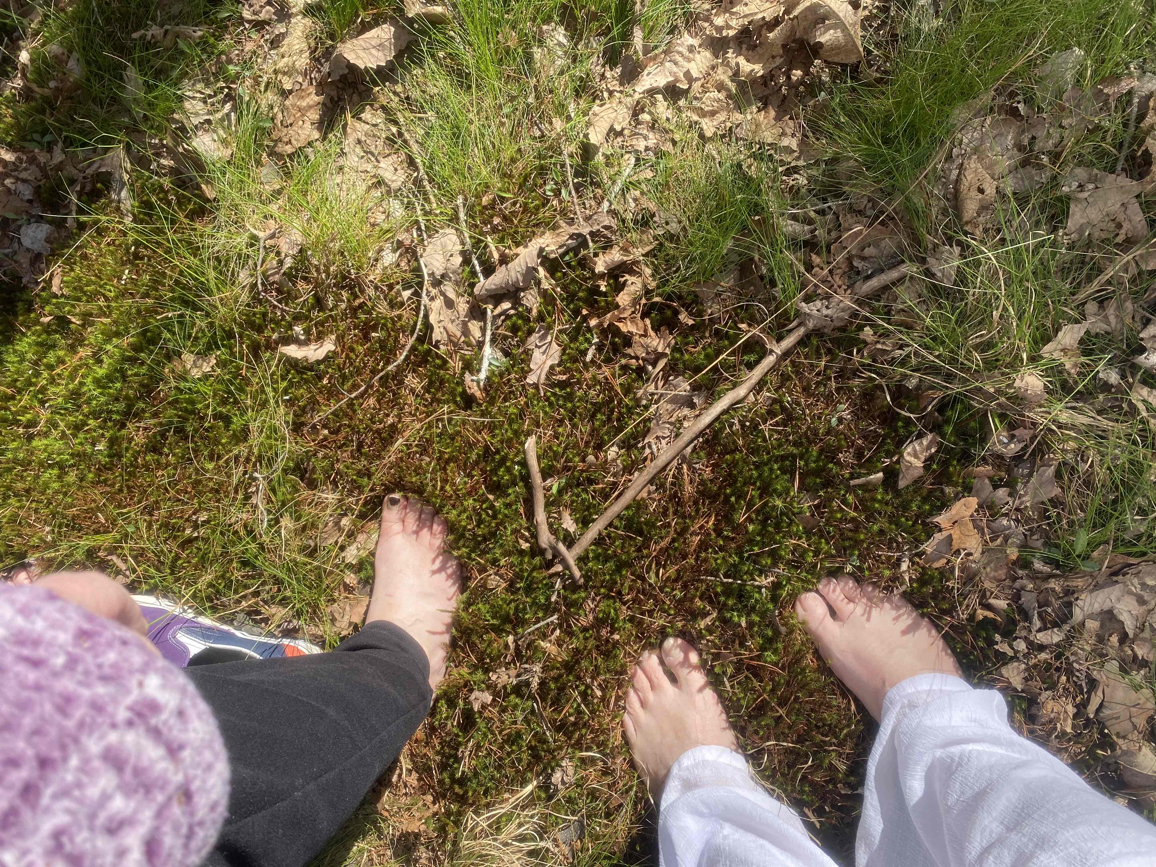 Base of DeSoto Falls Trail