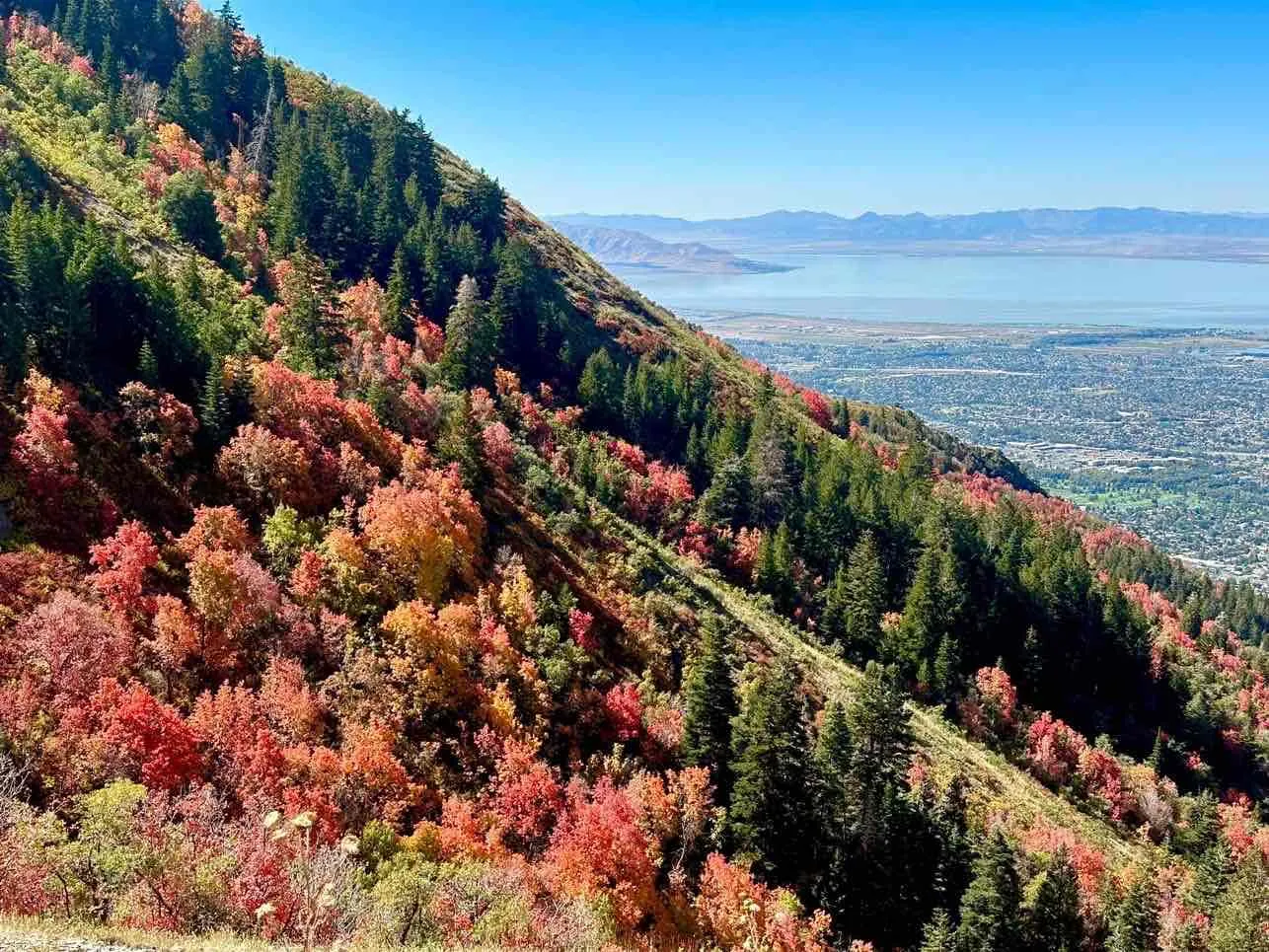Buffalo Peak Trail