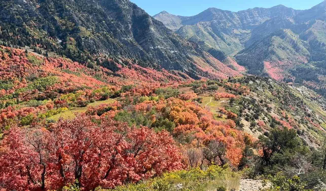 Buffalo Peak Trail