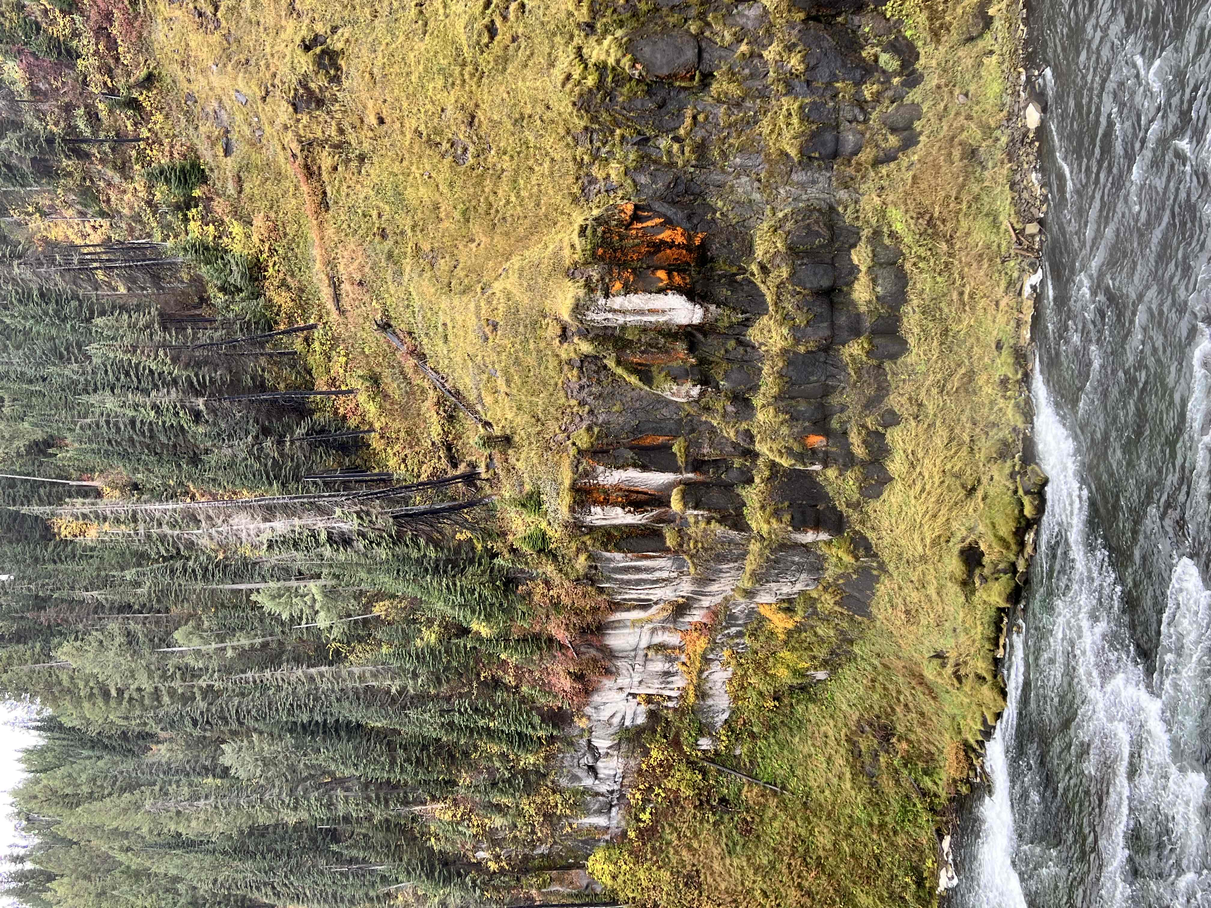 Upper and Lower Mesa Falls Loop