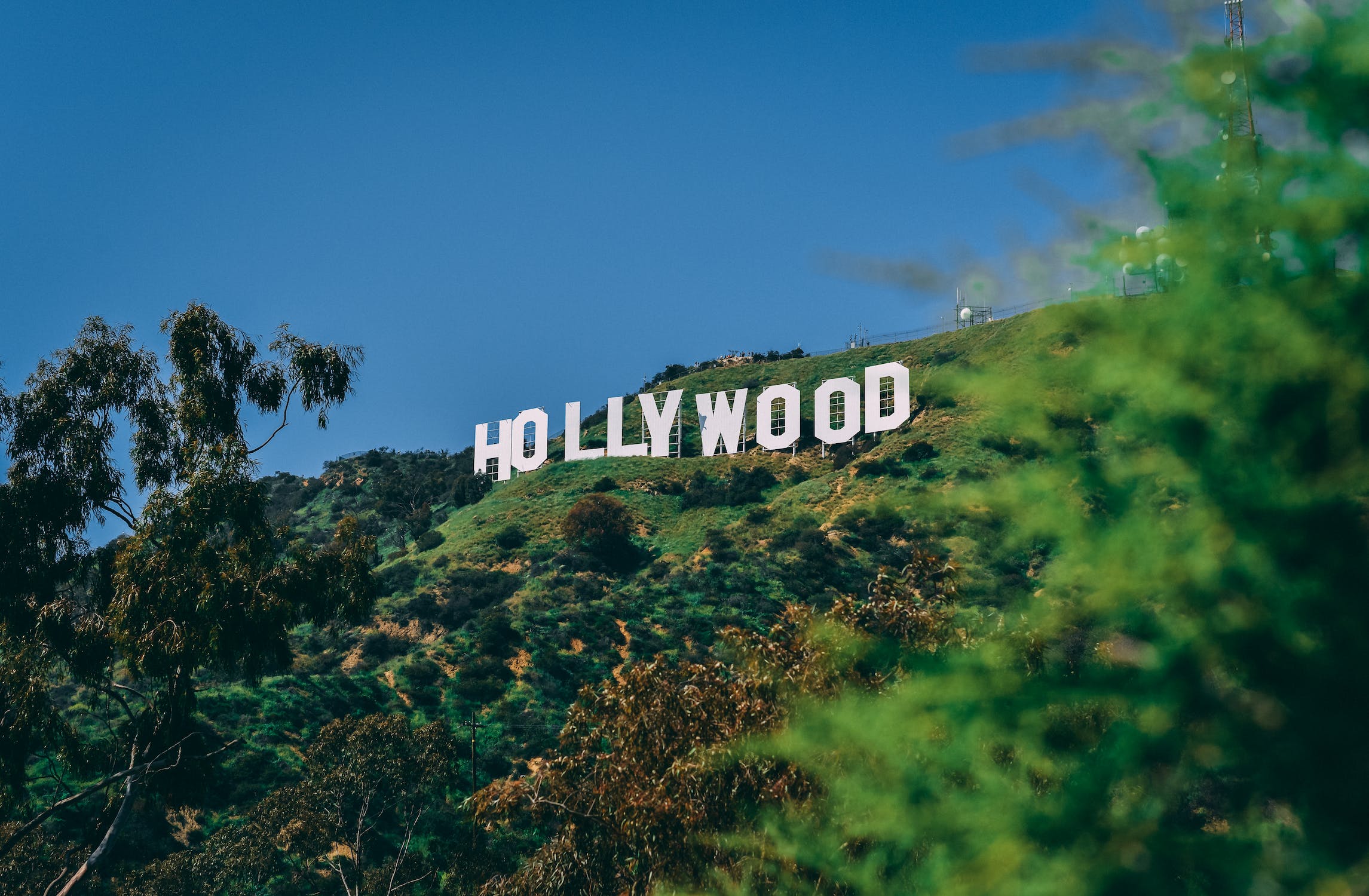 Hollywood Sign via Canyon Drive