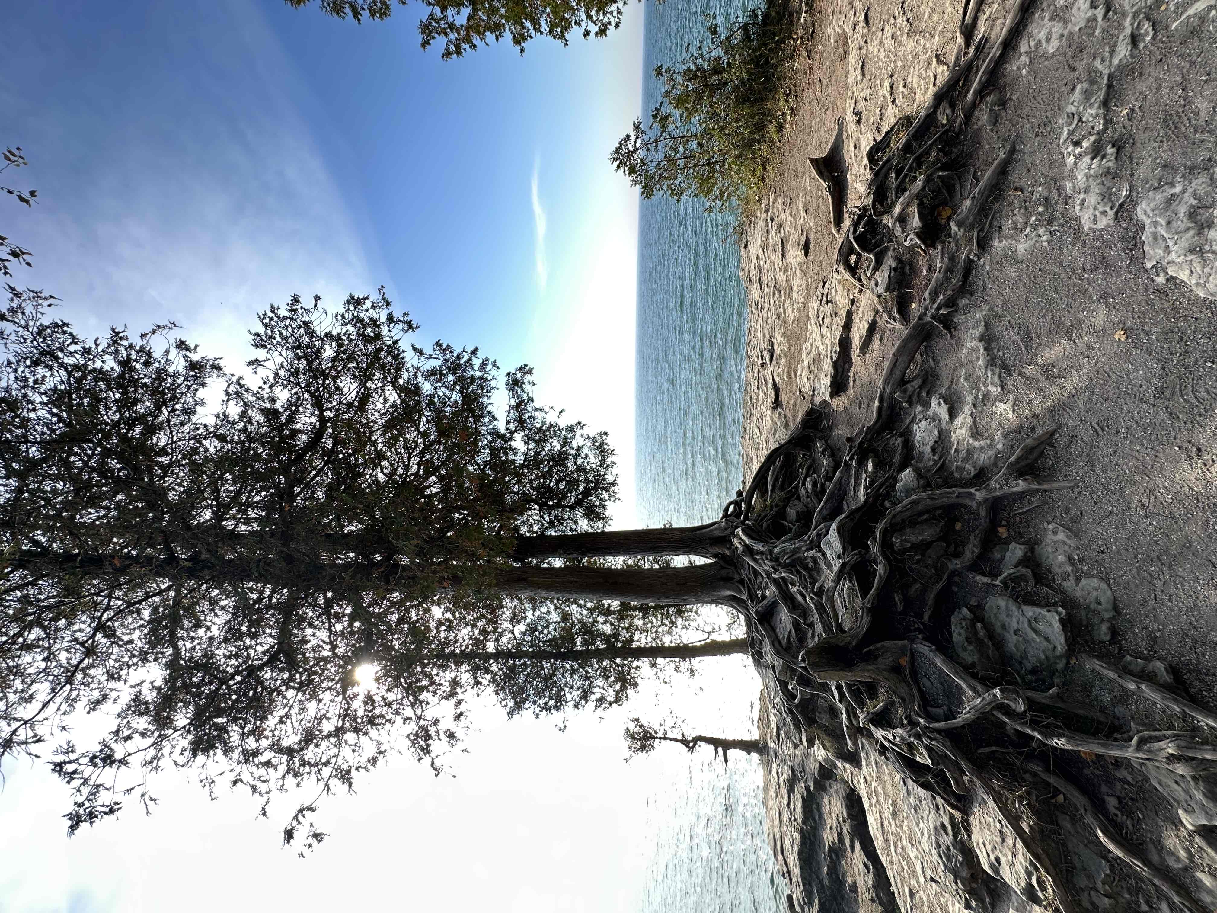 Cave Point County Park Lakeside Trail