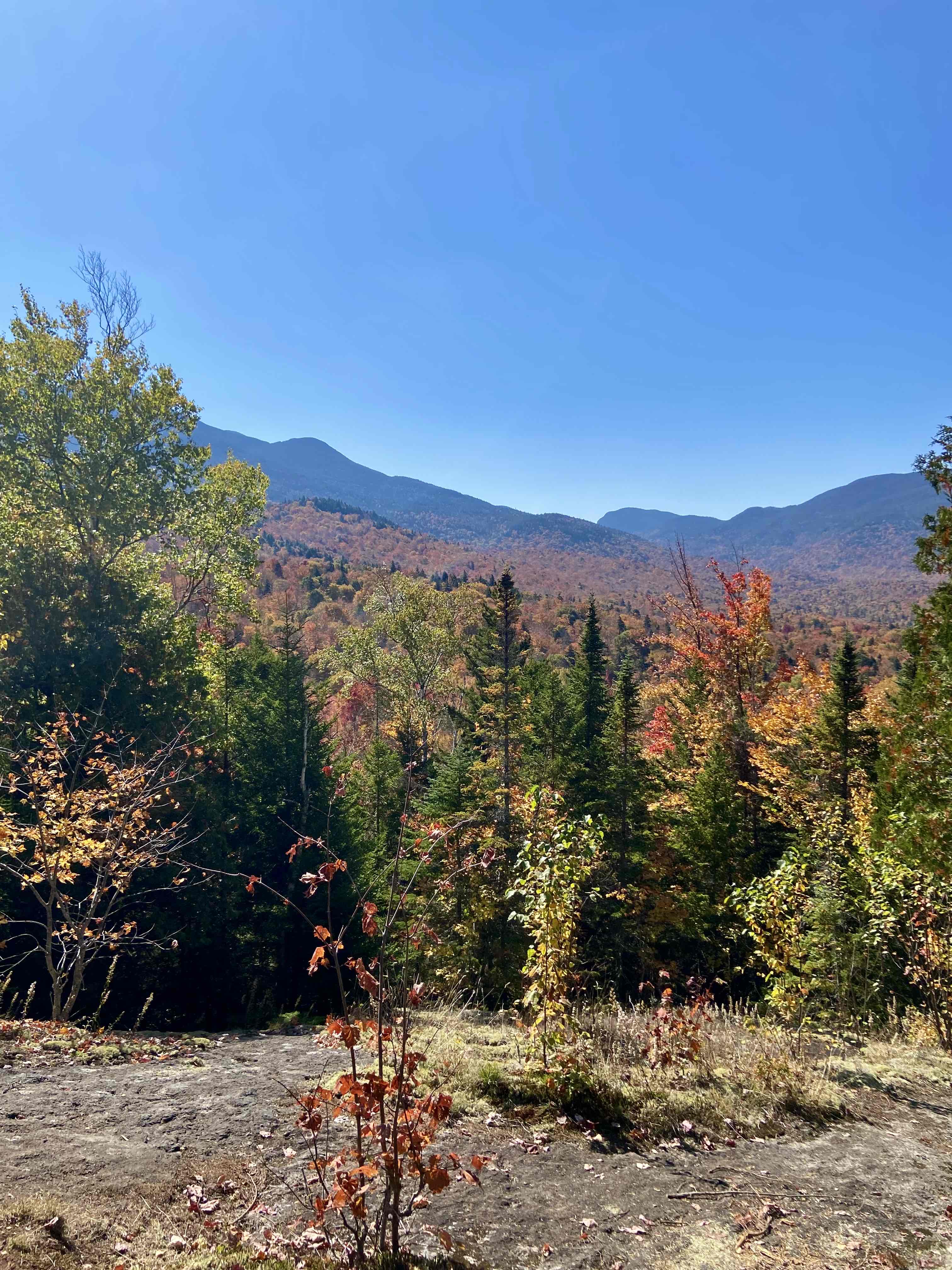 Mount Jo via Adirondak Loj