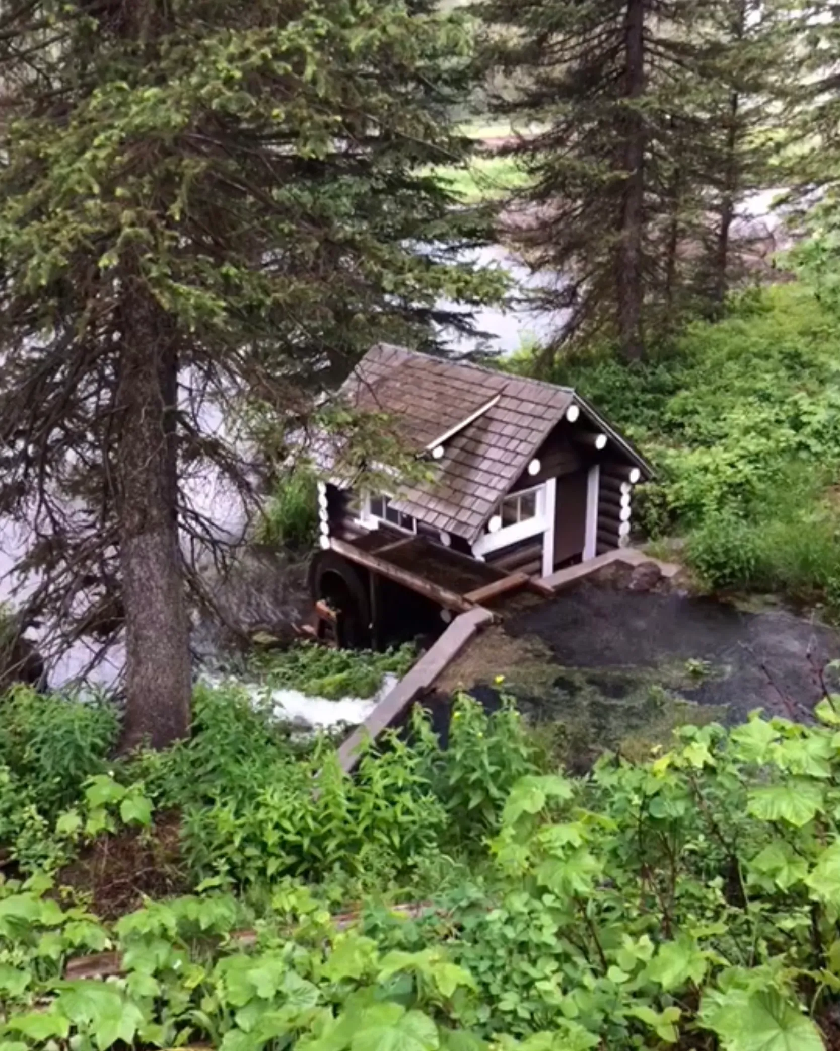 Big Springs and Johnny Sack's Cabin