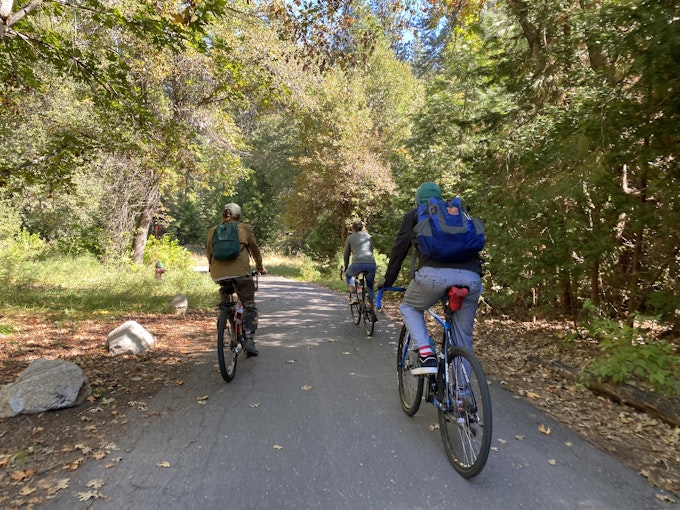 Three people are riding bikes on a paved path through a forest. Colorful leaves litter the sides of the trail.