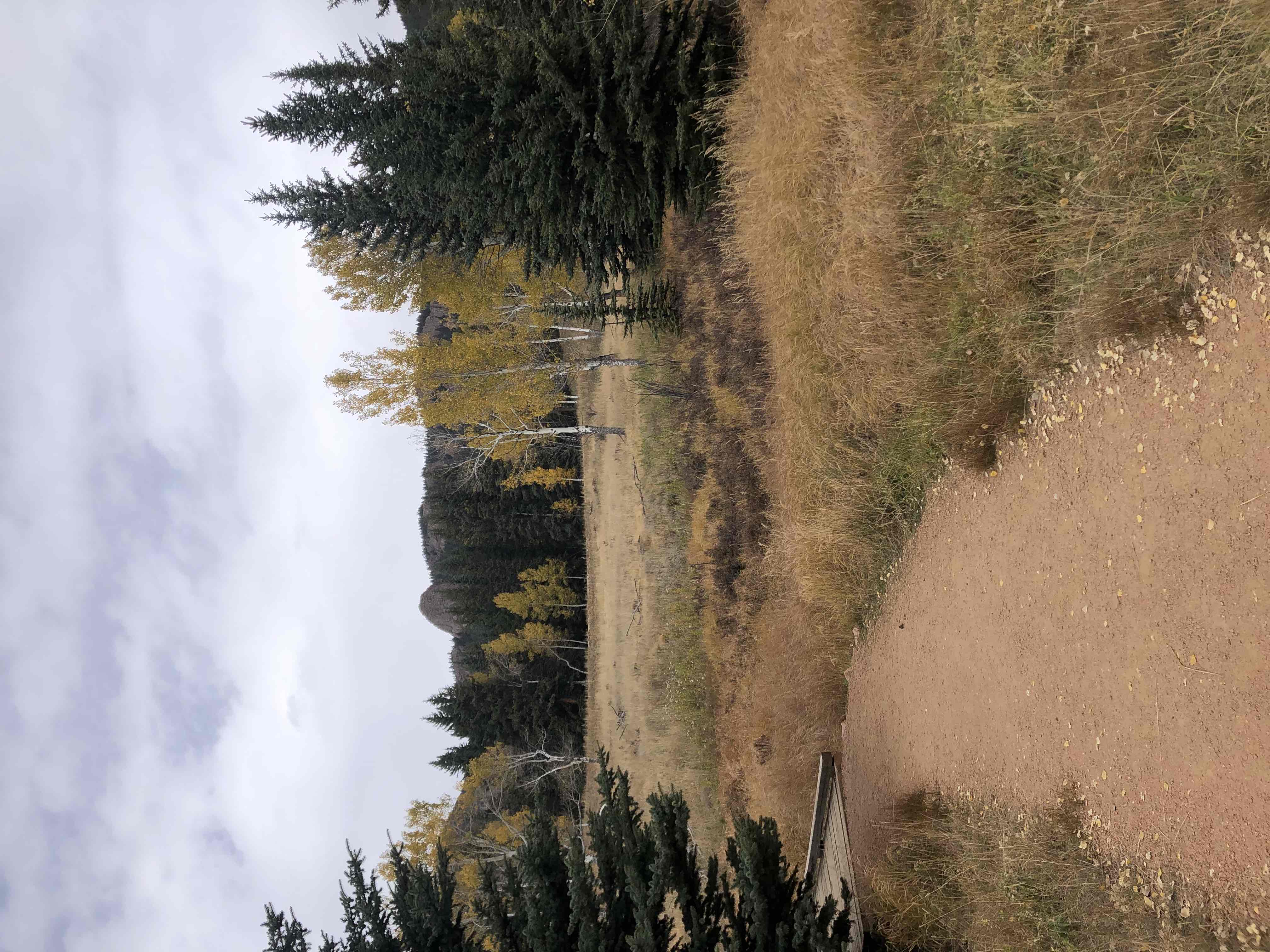 Davis Ponds Trail
