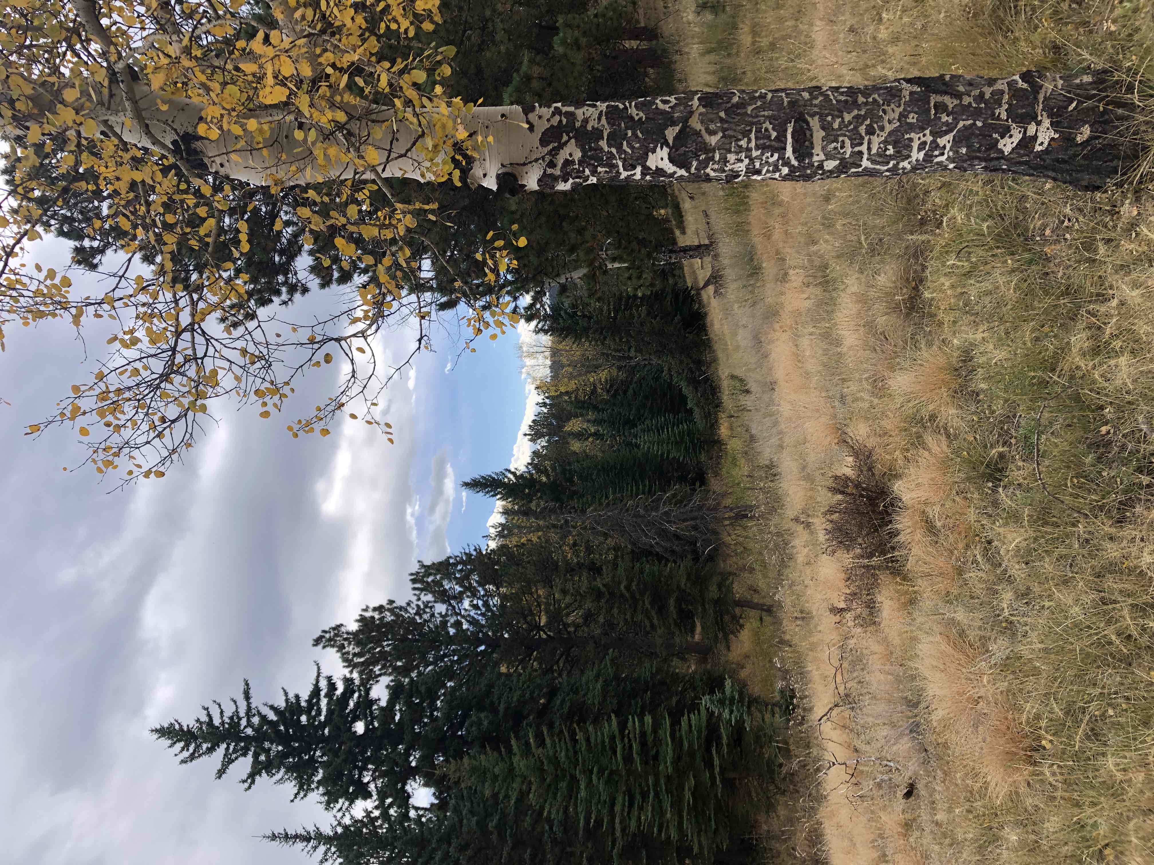Davis Ponds Trail