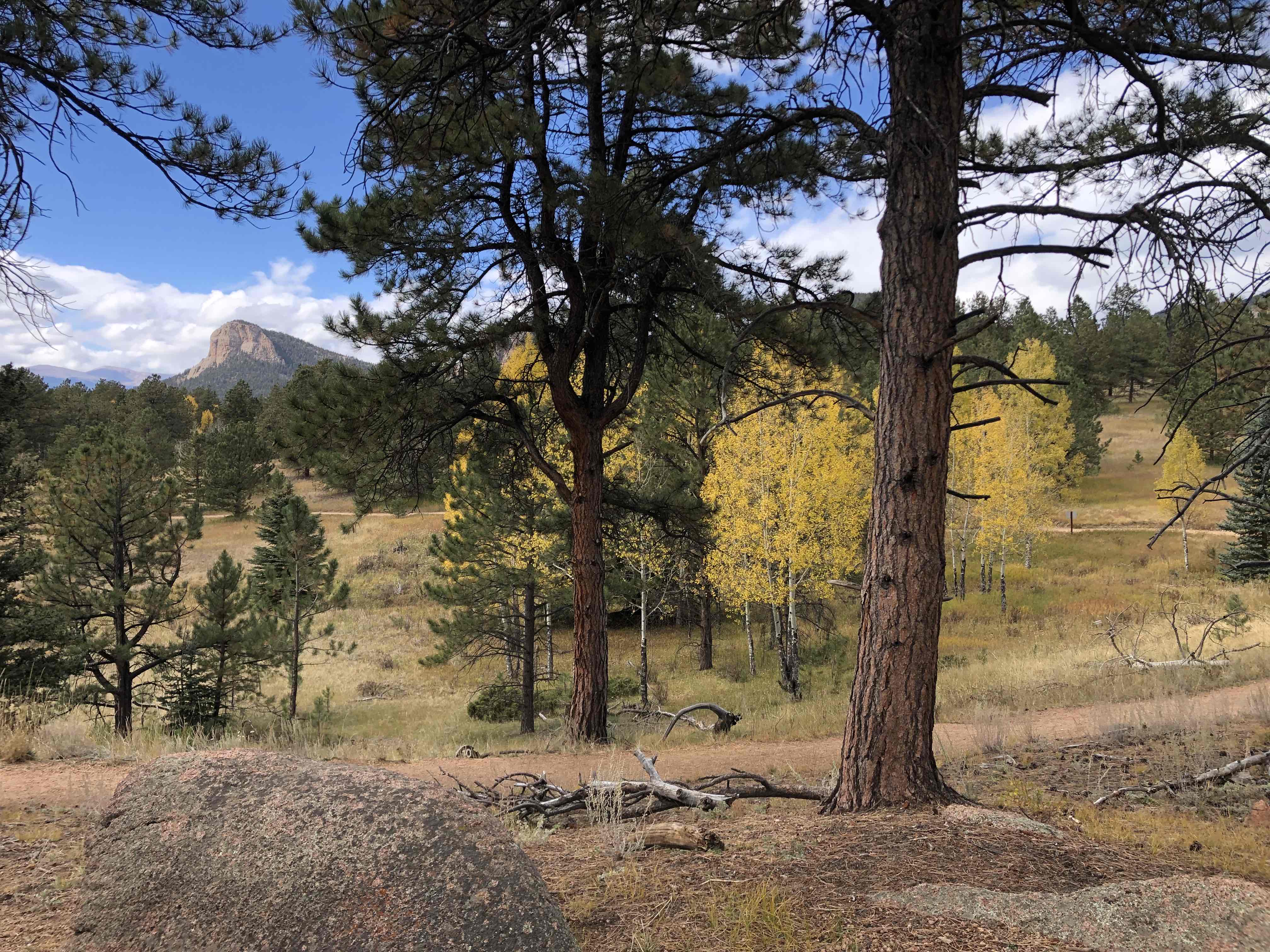 Davis Ponds Trail
