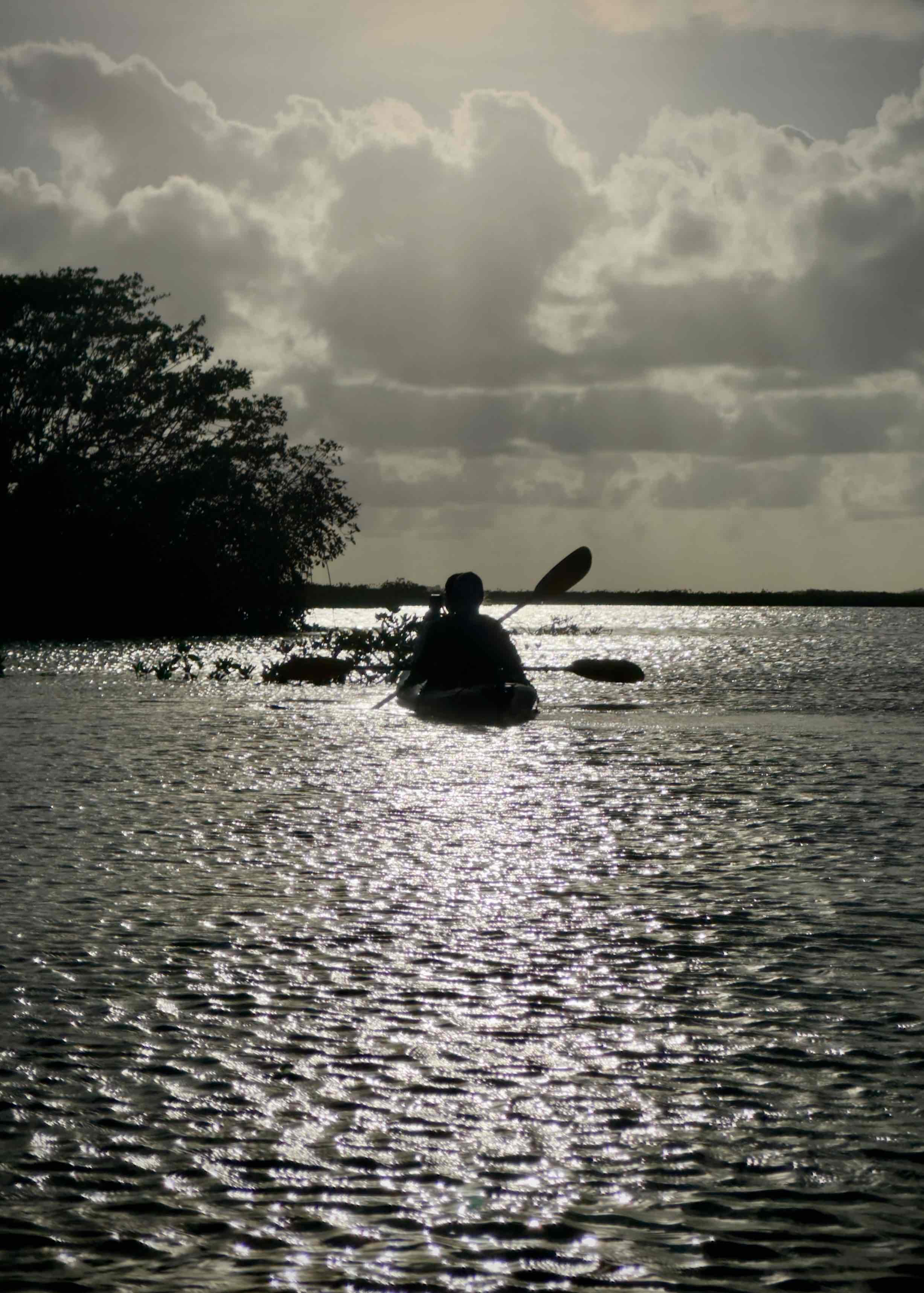 Kayak in the Sian Ka'an Biosphere Reserve