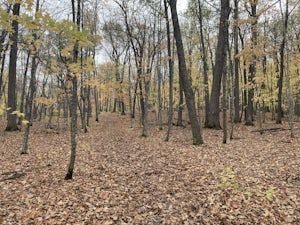 Mille Lacs Lake Loop from Father Hennepin State Park Campground