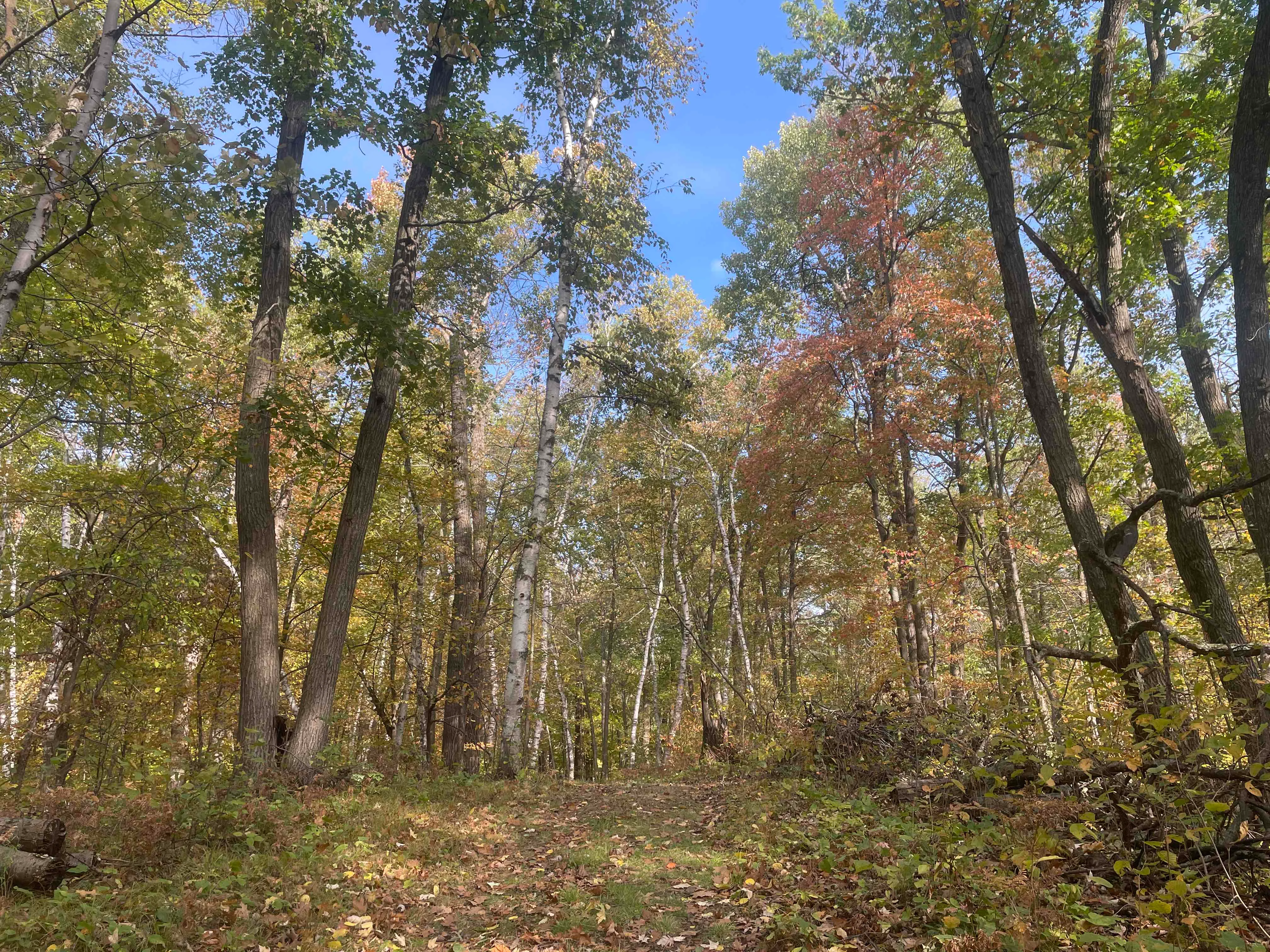 Hike the Minnesota Hiking Club Trail in Mille Lacs Kathio