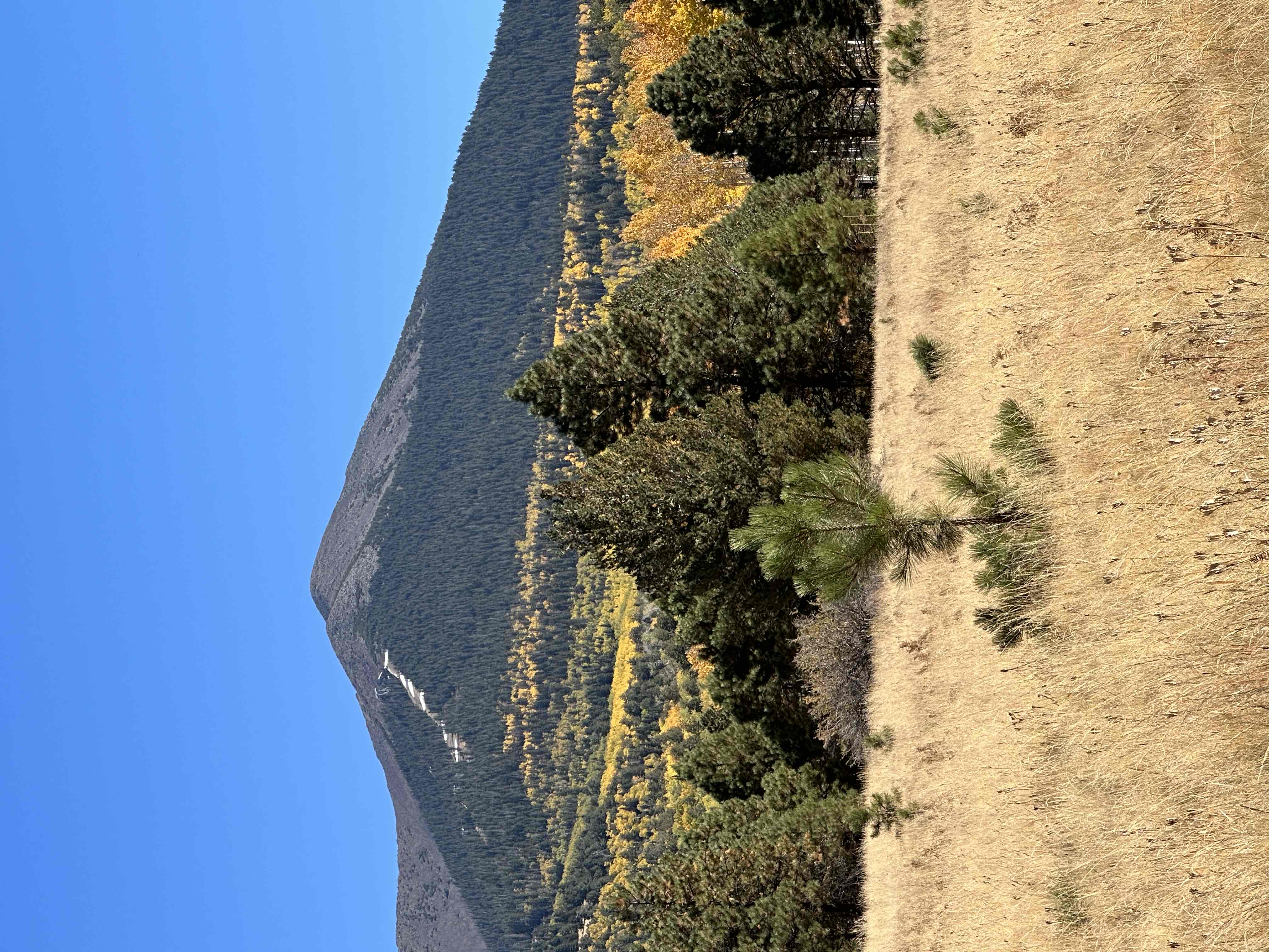 Hike Aspen Corner to Bismark Lake on the Arizona Trail