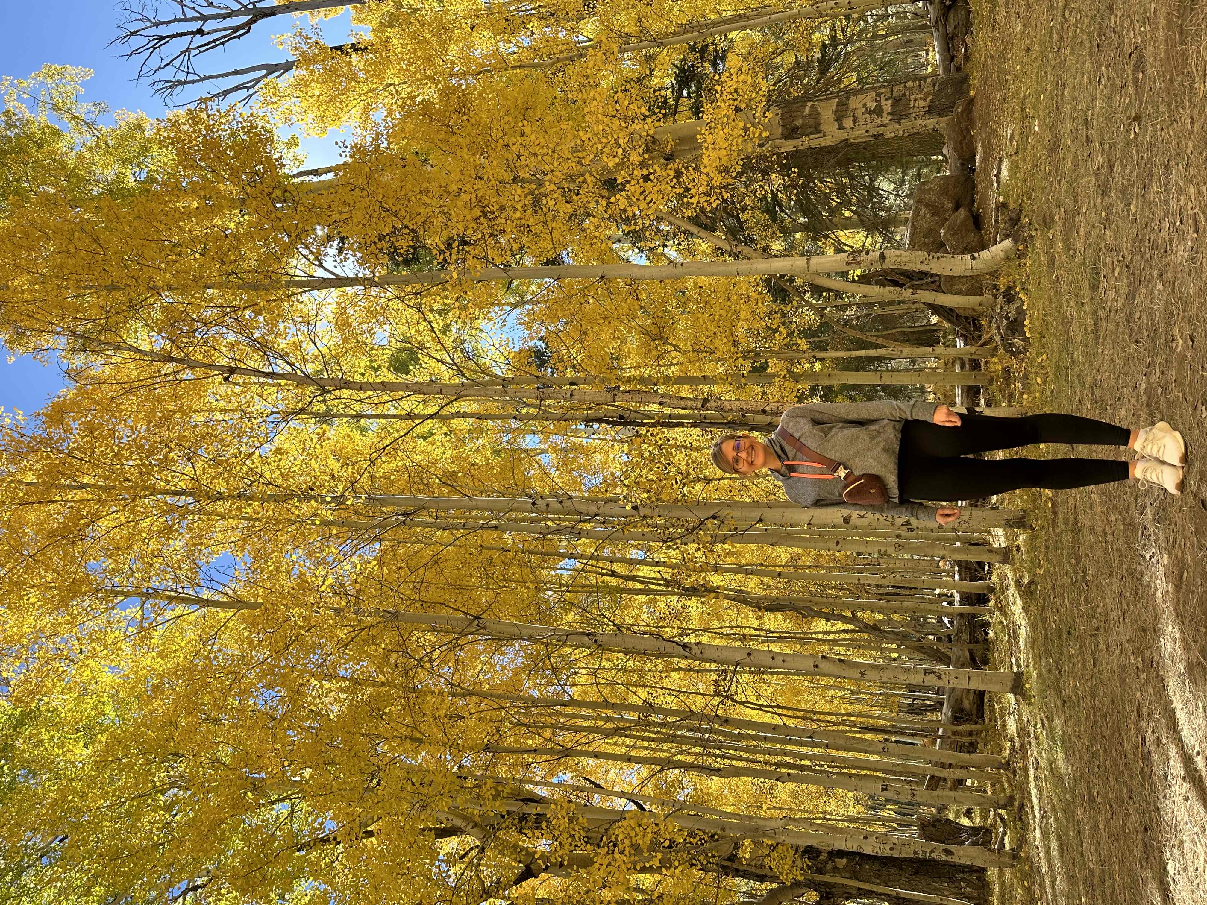 Hike Aspen Corner to Bismark Lake on the Arizona Trail