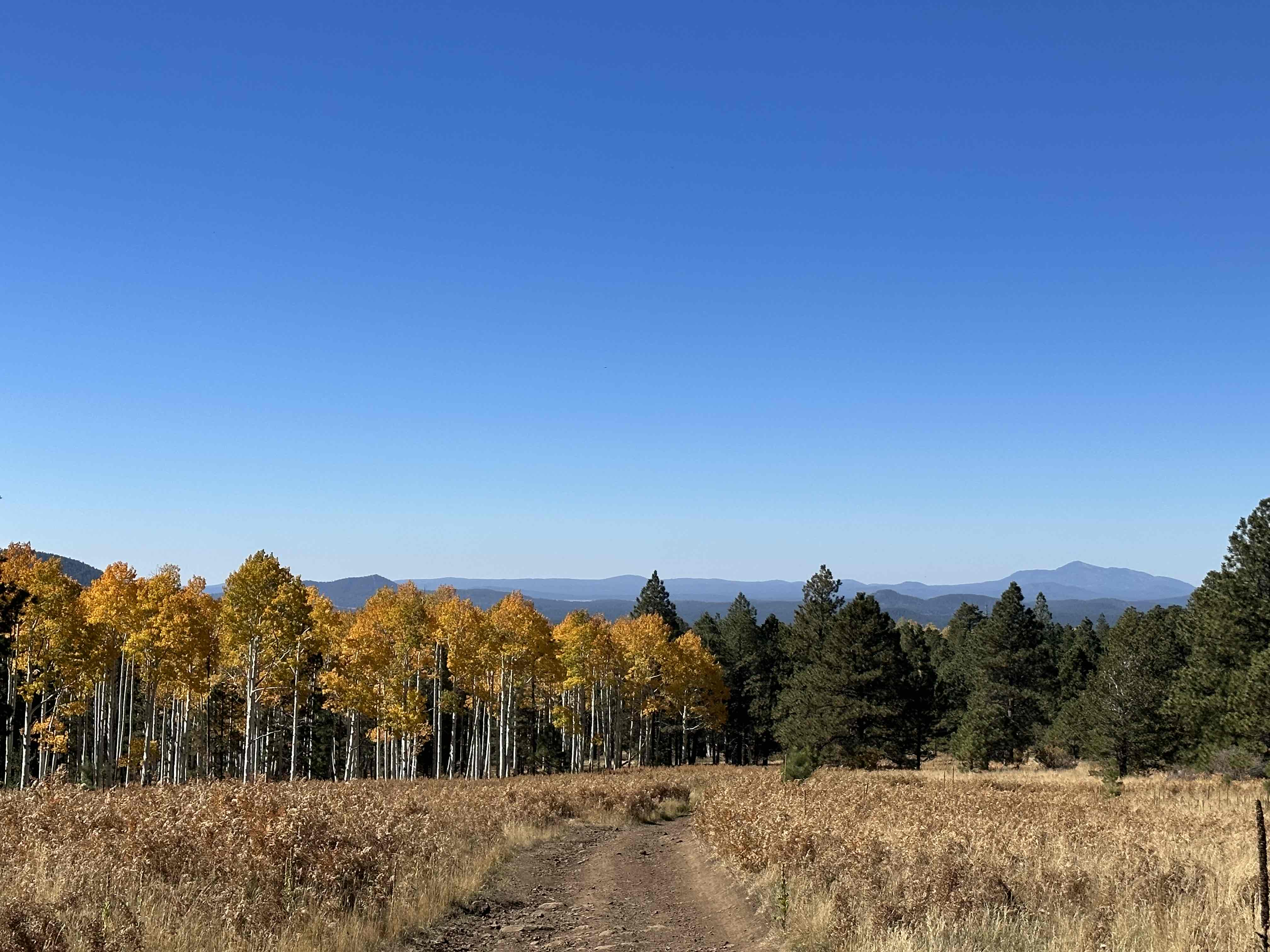 Hike Aspen Corner to Bismark Lake on the Arizona Trail