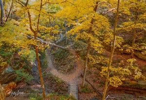 Hike Wildcat Den Trail