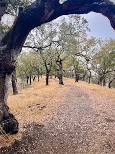Corridor Ridge Loop Trail