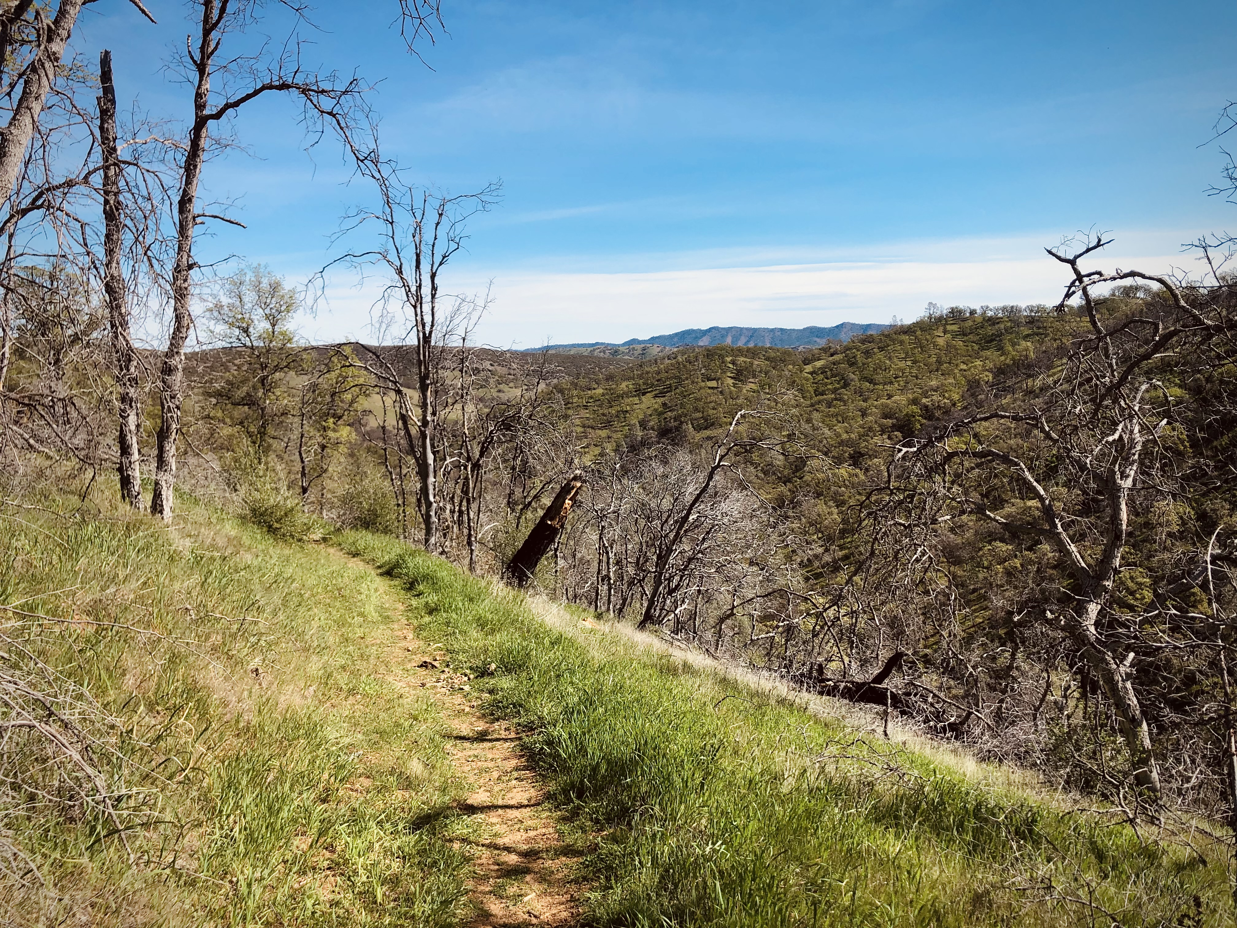 Cache Creek Ridge: Judge Davis Trailhead