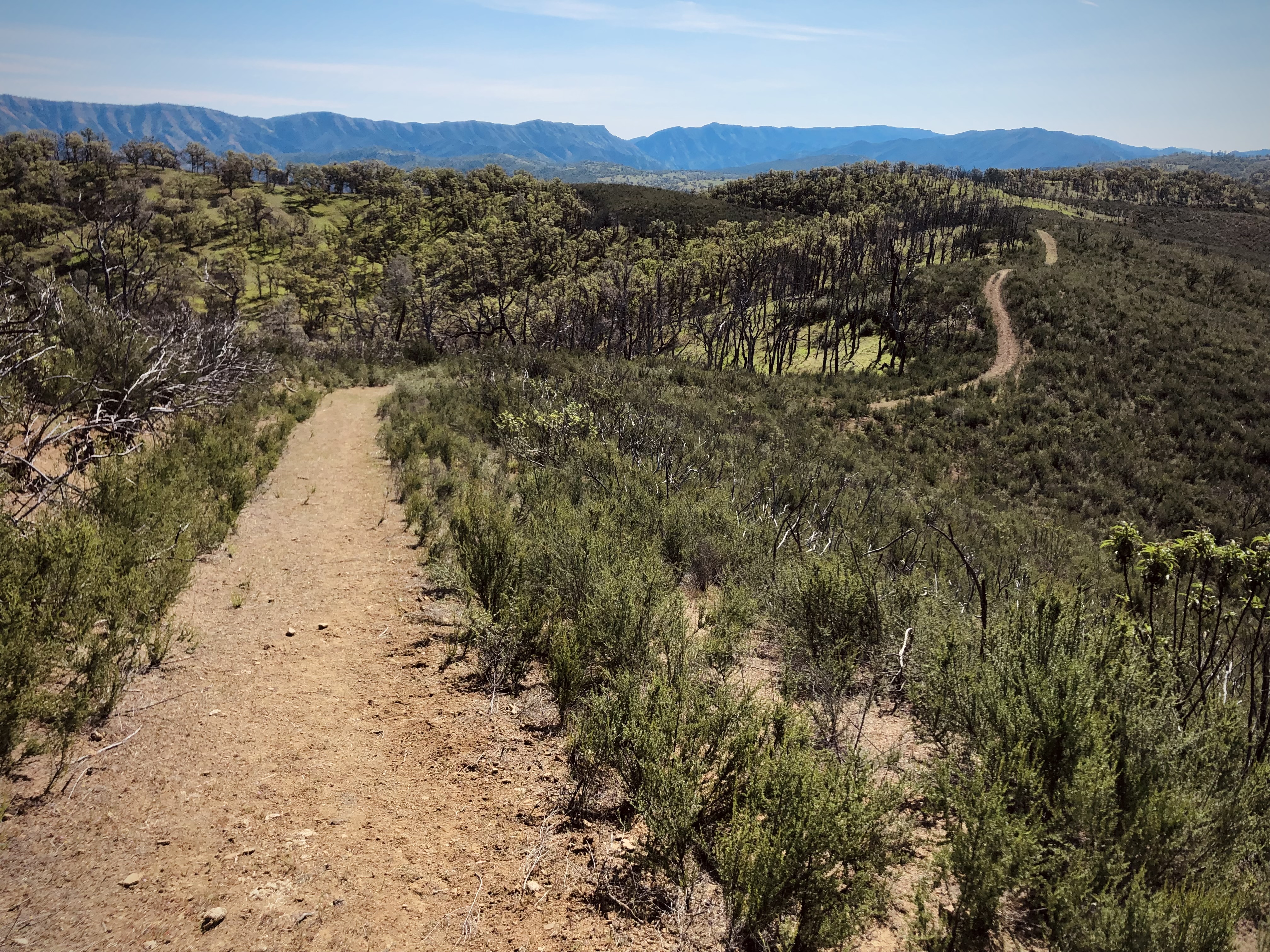 Cache Creek Ridge: Judge Davis Trailhead