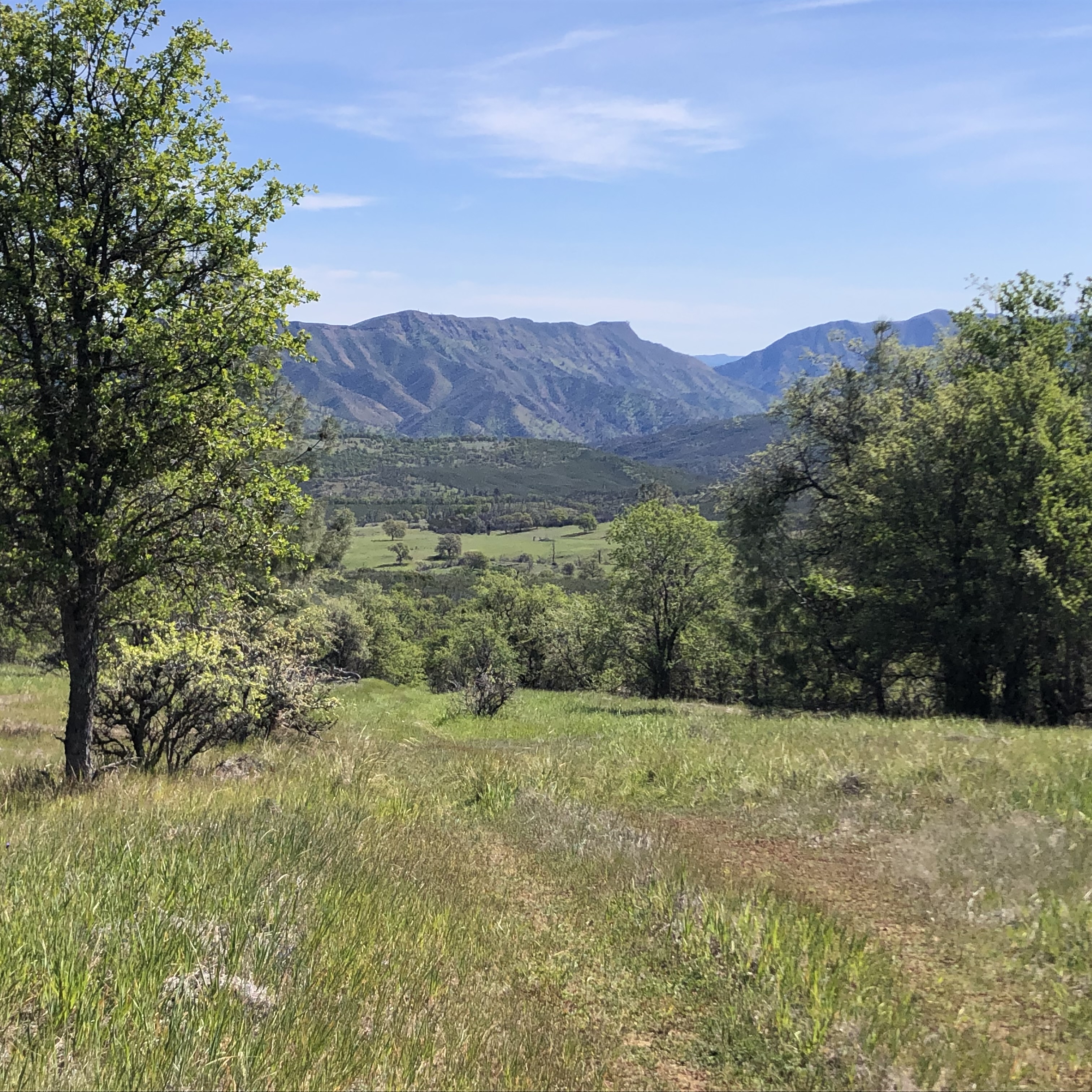 Cache Creek Ridge: Judge Davis Trailhead