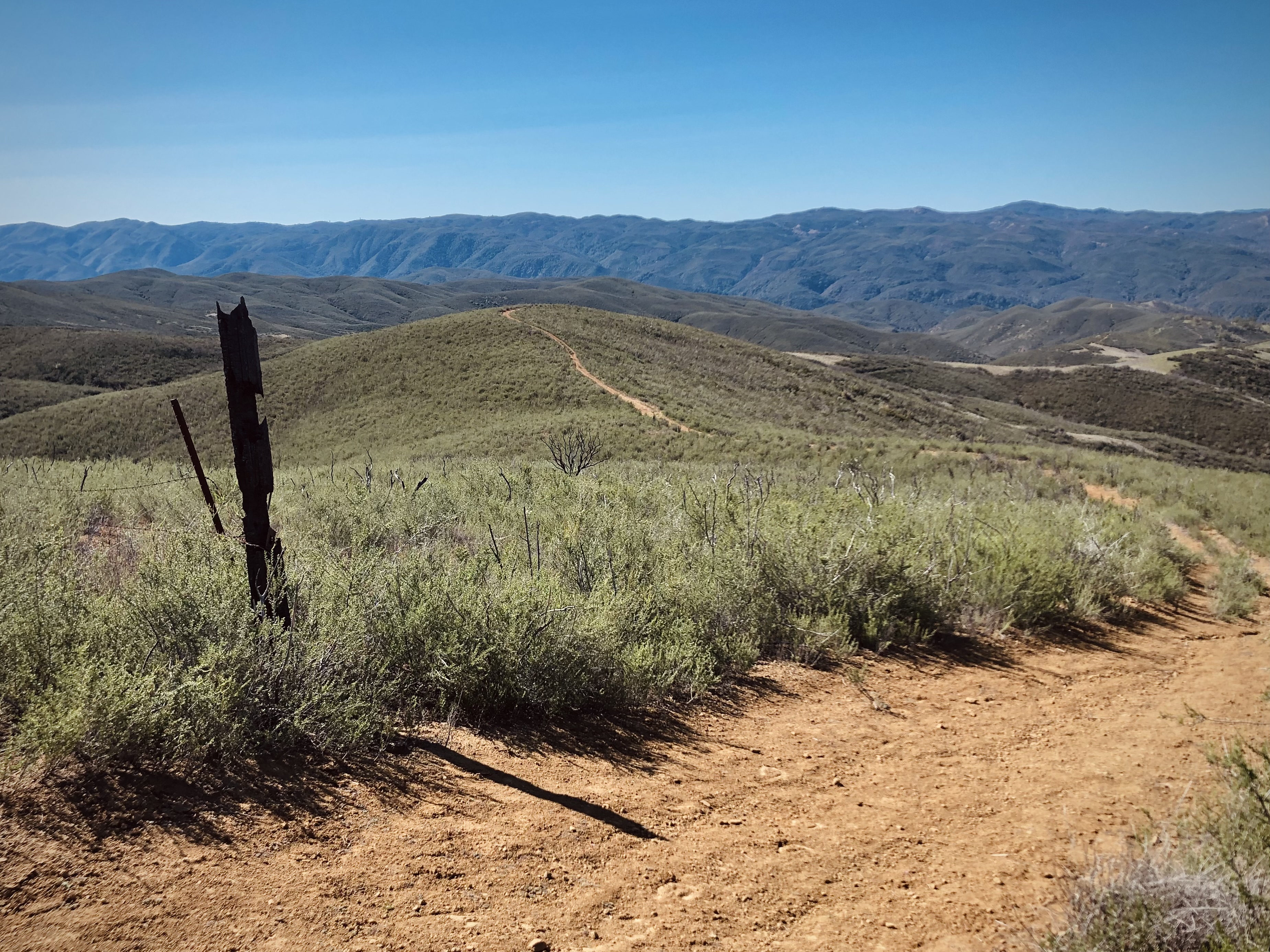Cache Creek Ridge: Judge Davis Trailhead