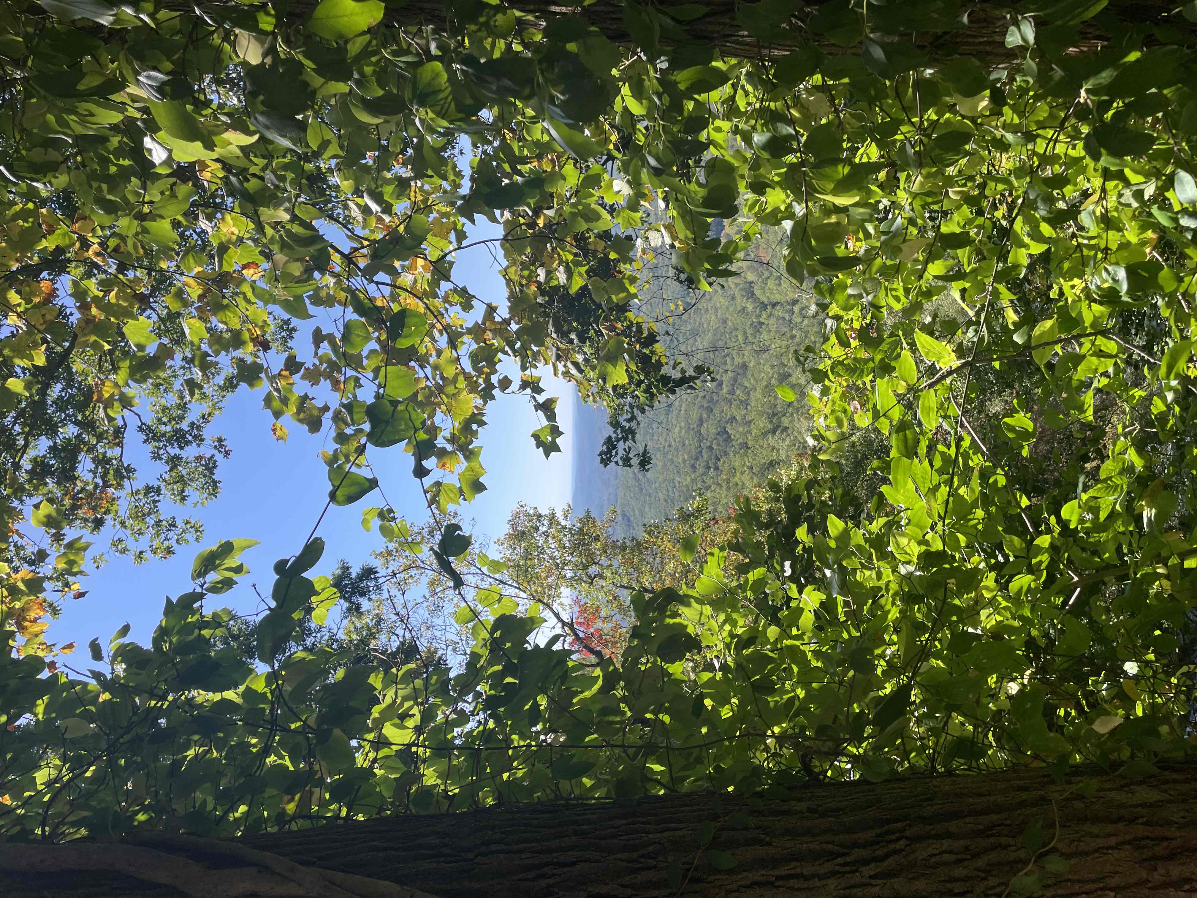 Amicalola Falls