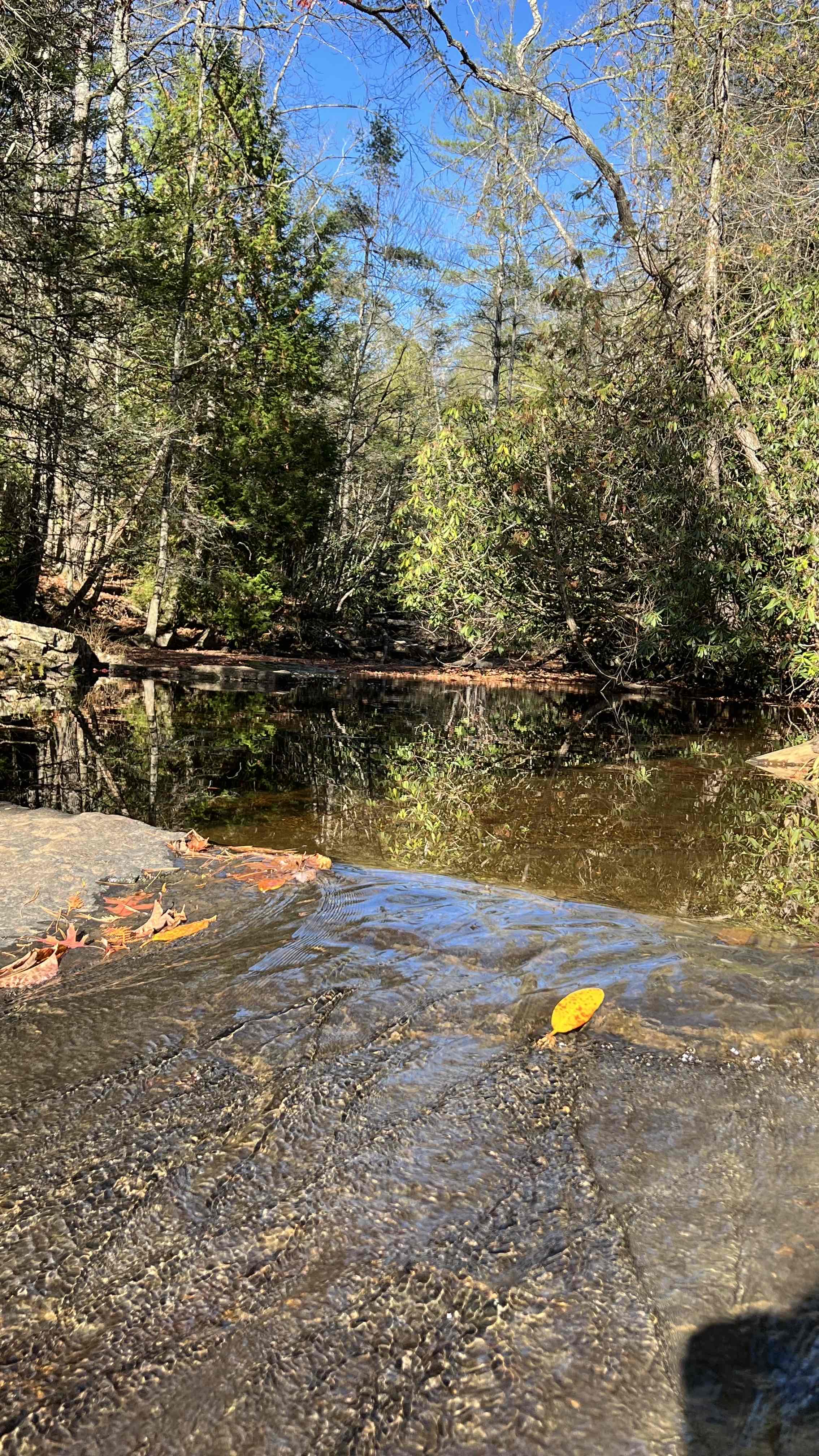 Photograph Dismal Falls 