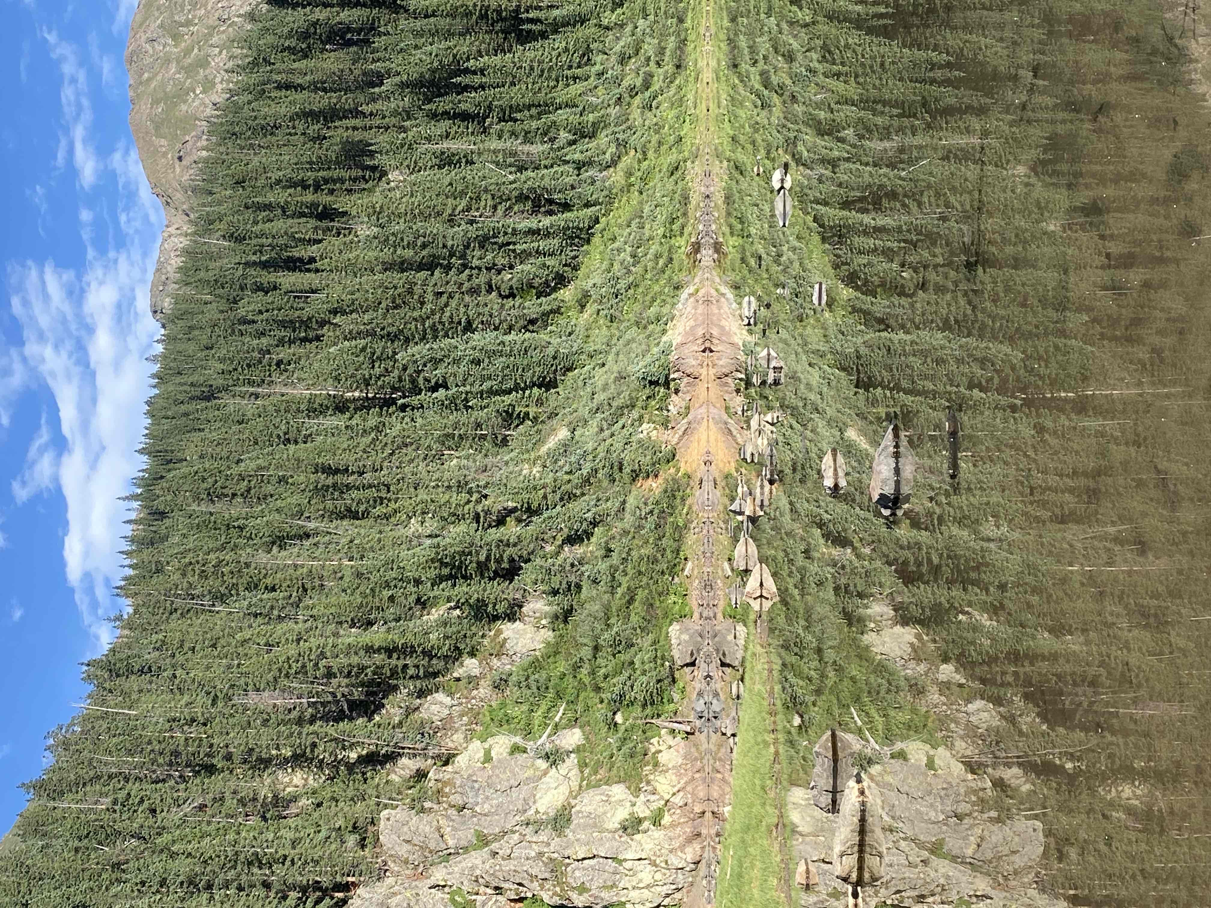 Hike to Williams Lake and Wheeler Peak