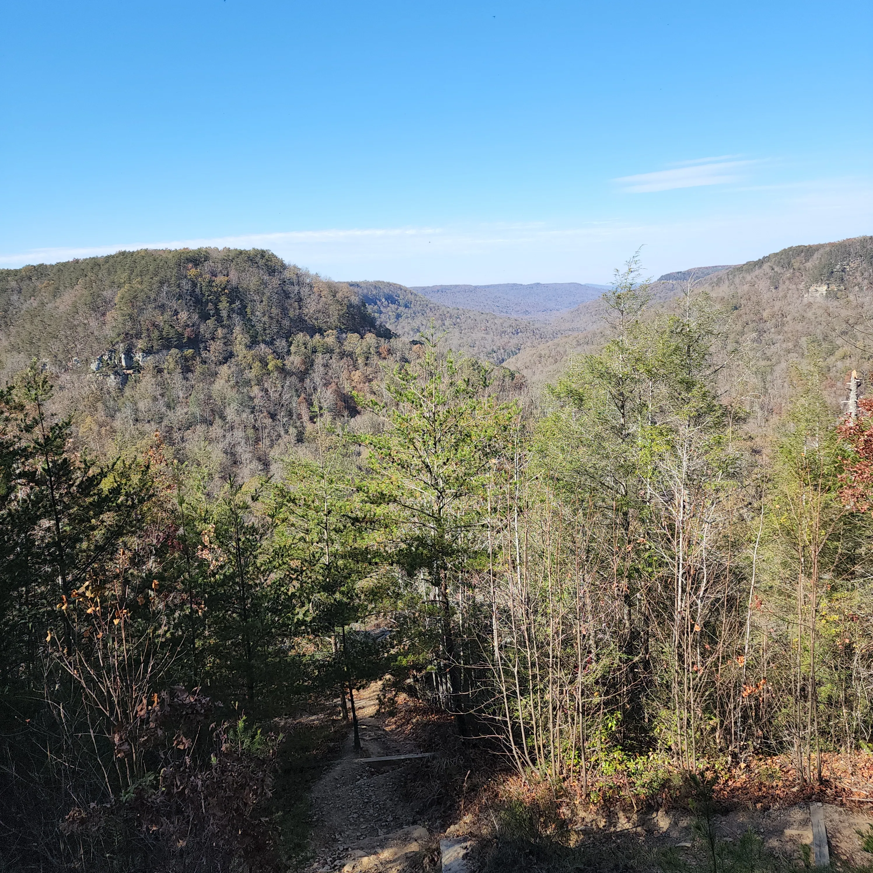 Photograph Buzzard's Roost Overlook