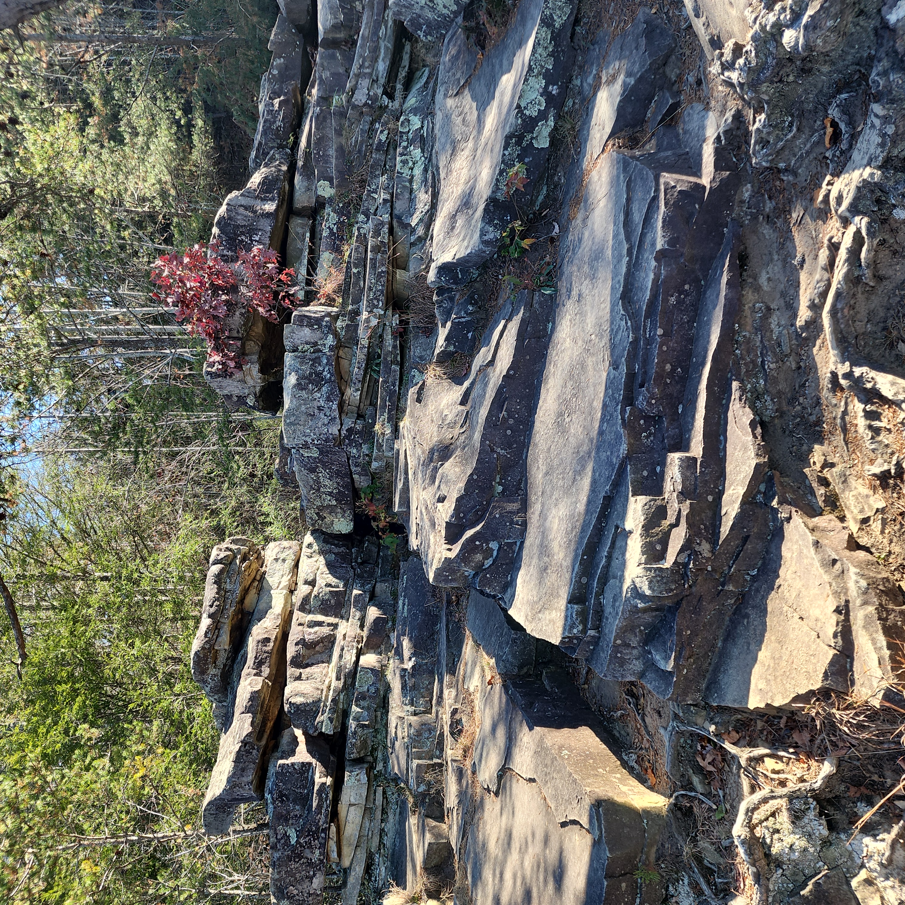 Photograph Buzzard's Roost Overlook