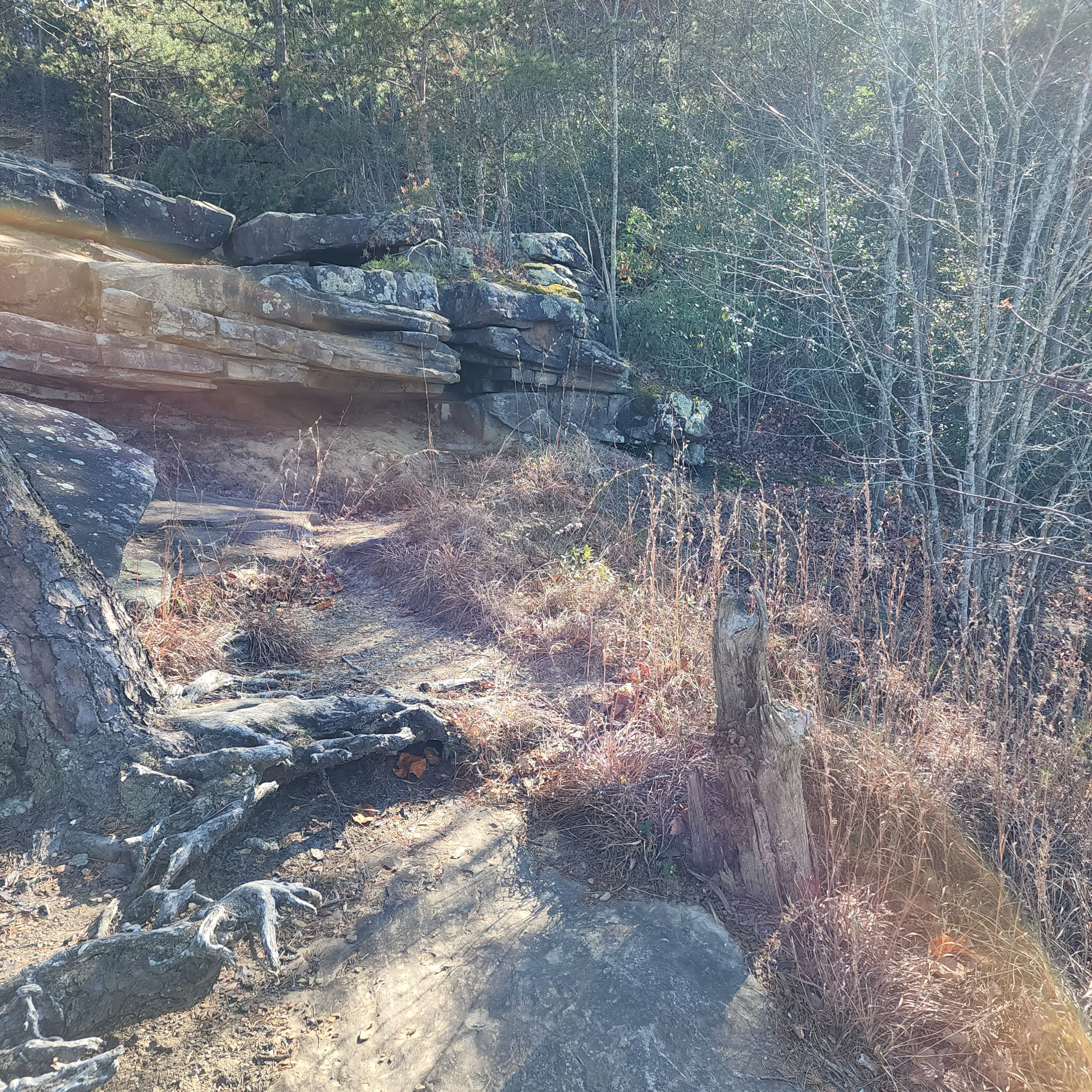 Photograph Buzzard's Roost Overlook
