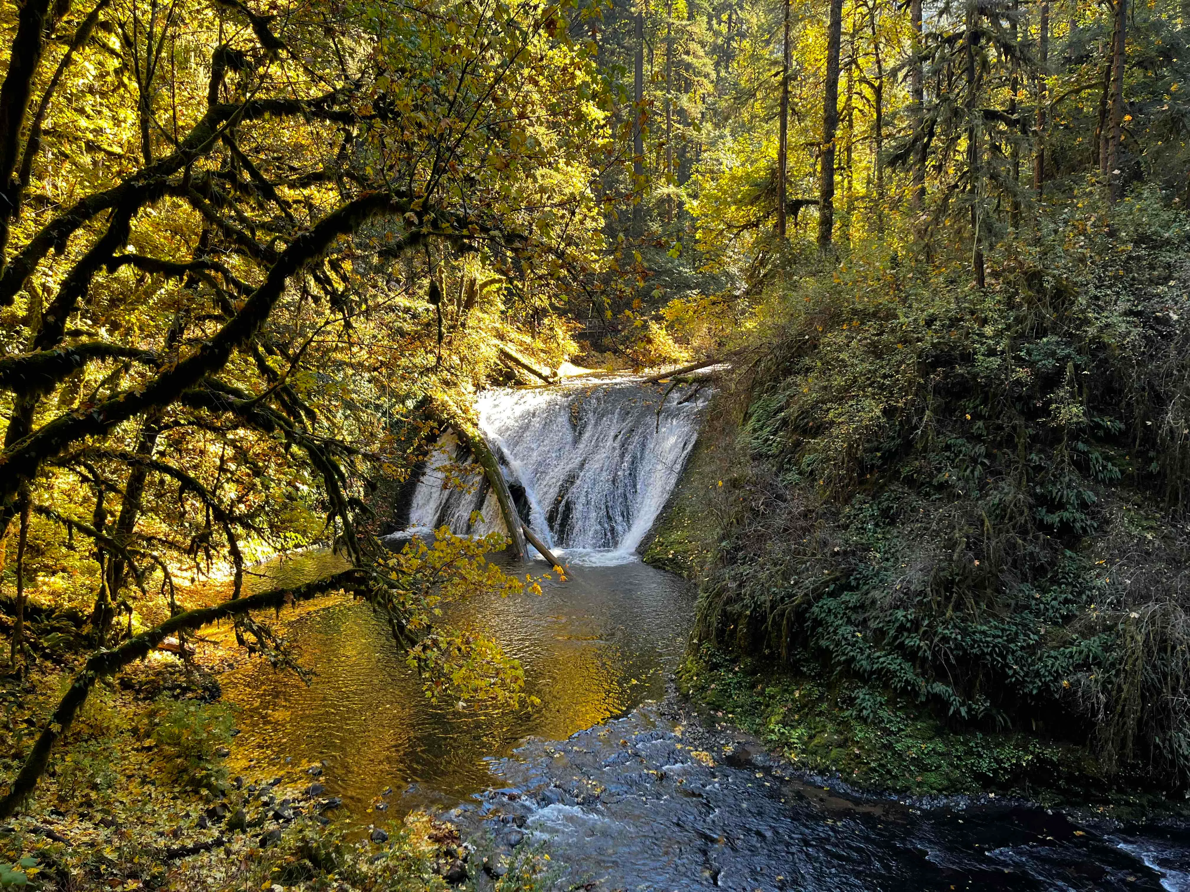 Trail of Ten Falls Loop