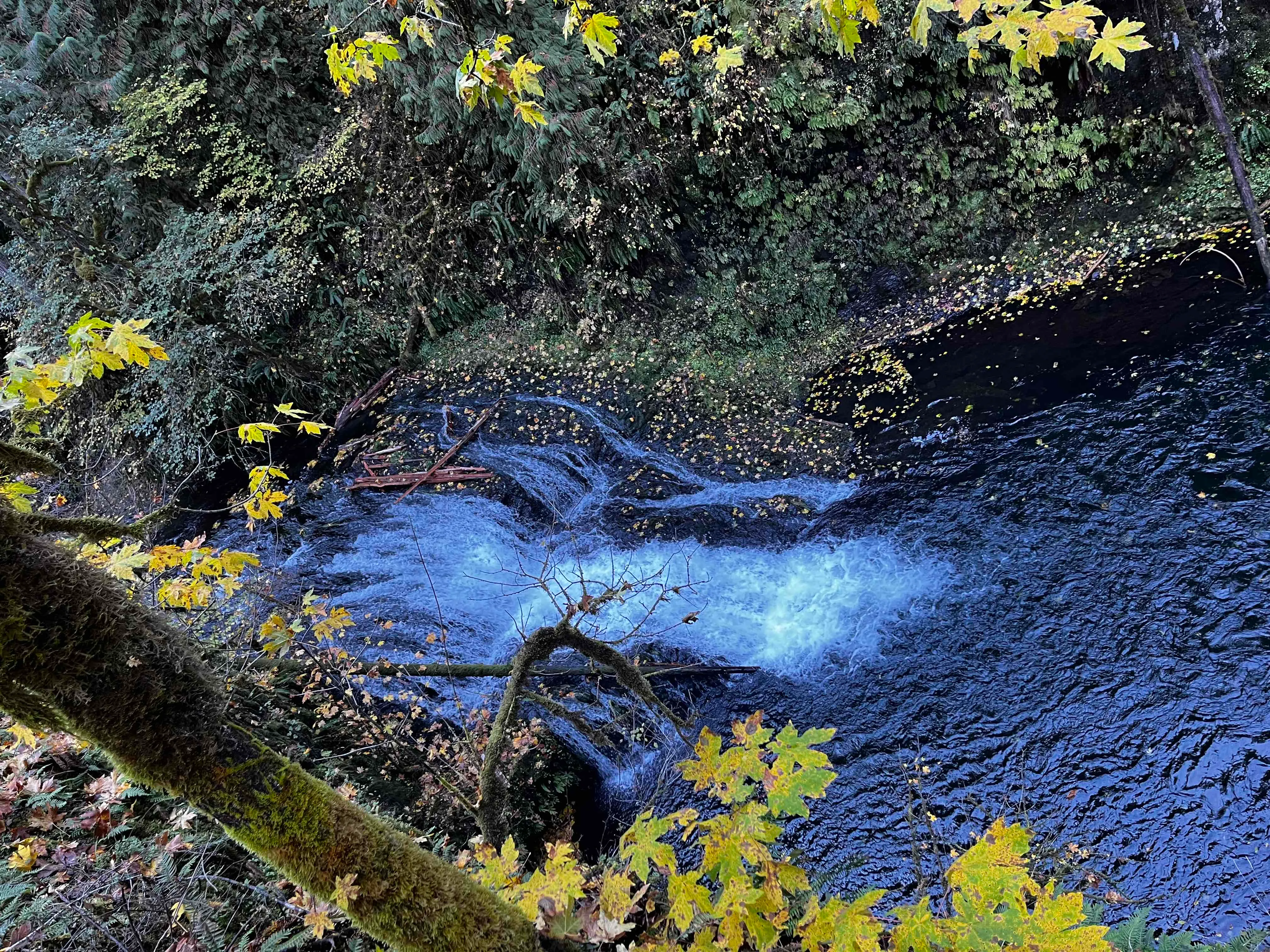 Trail of Ten Falls Loop