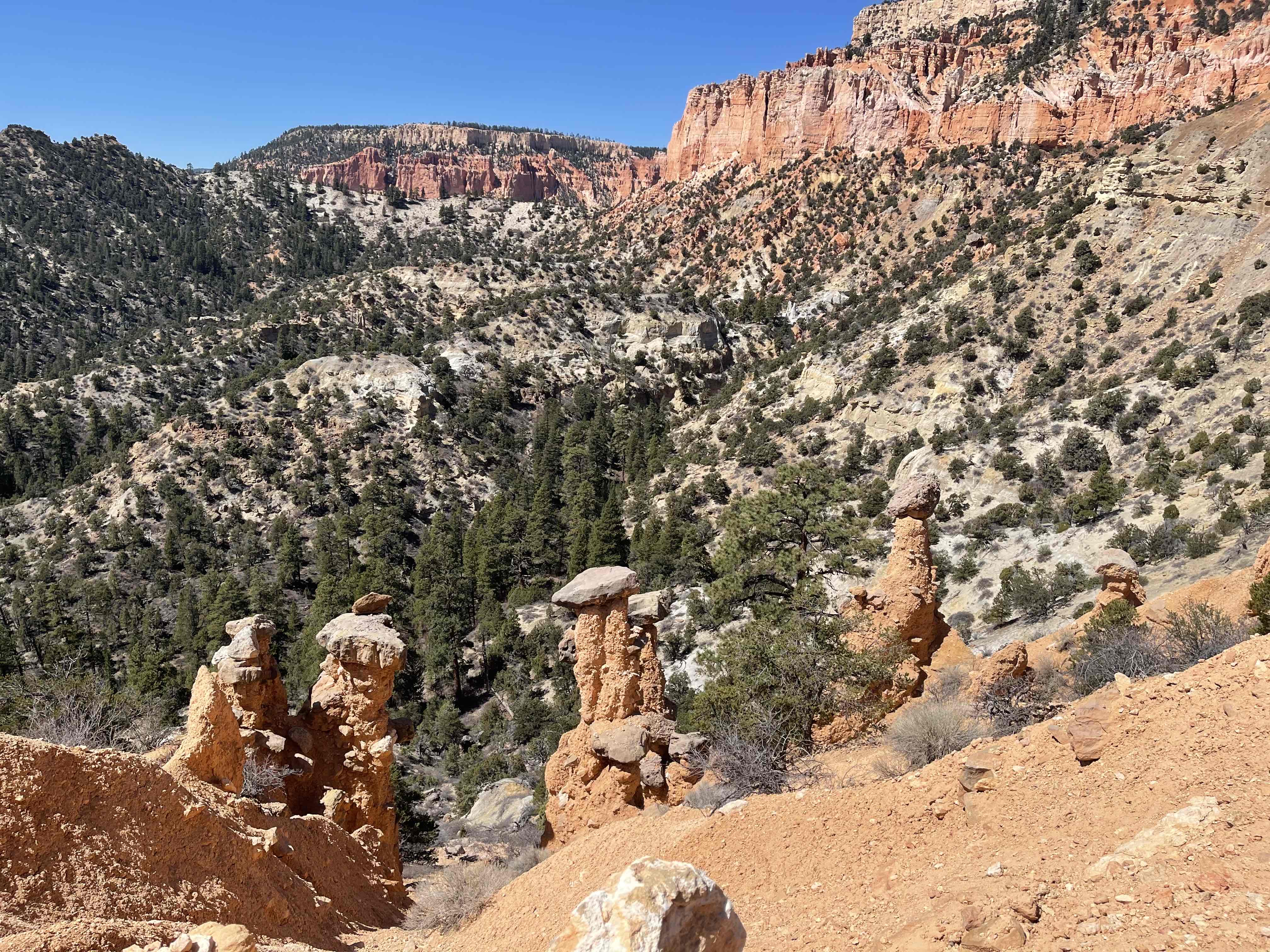 Hat Shop via Under the Rim Trail