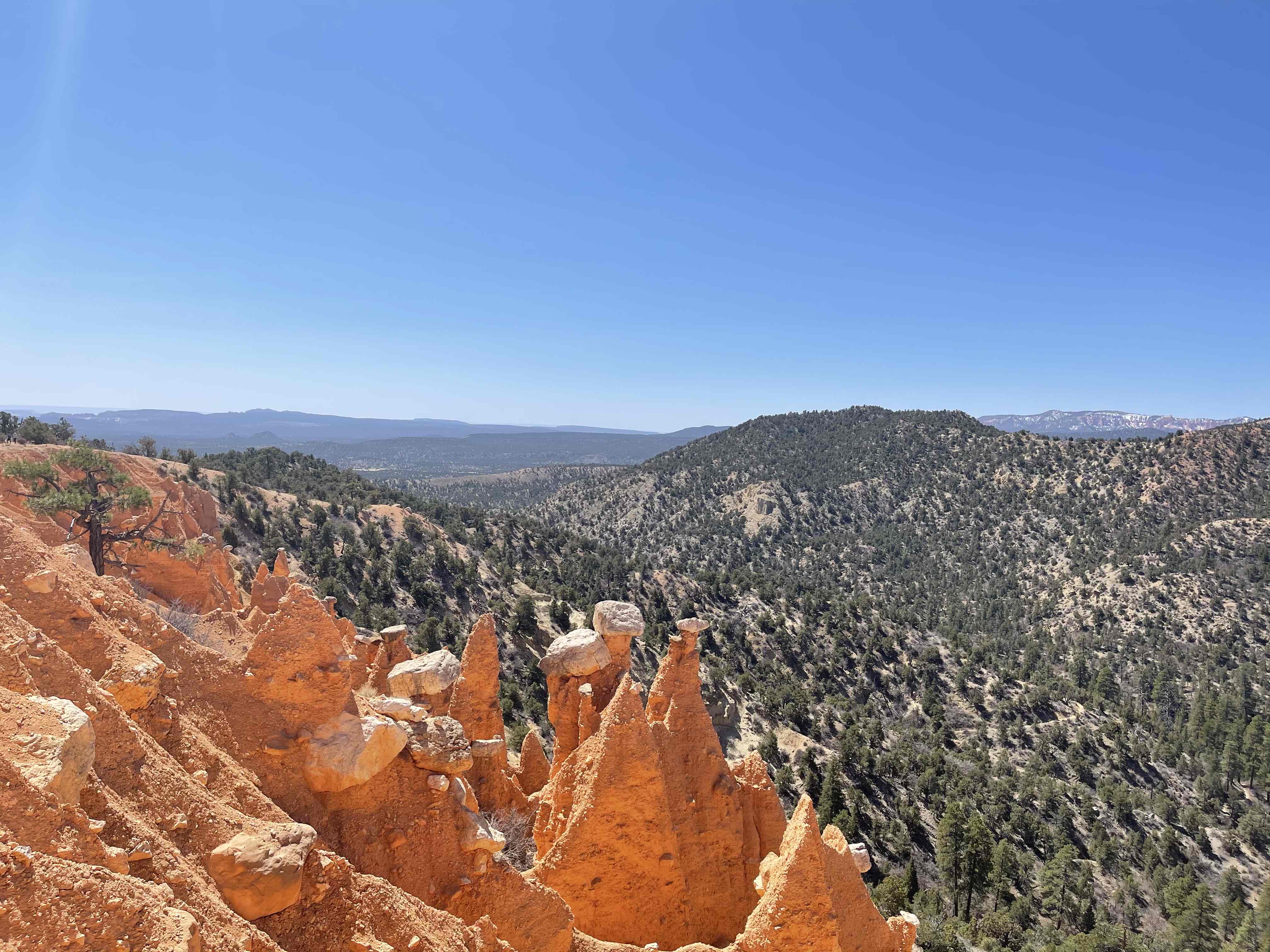 Hat Shop via Under the Rim Trail