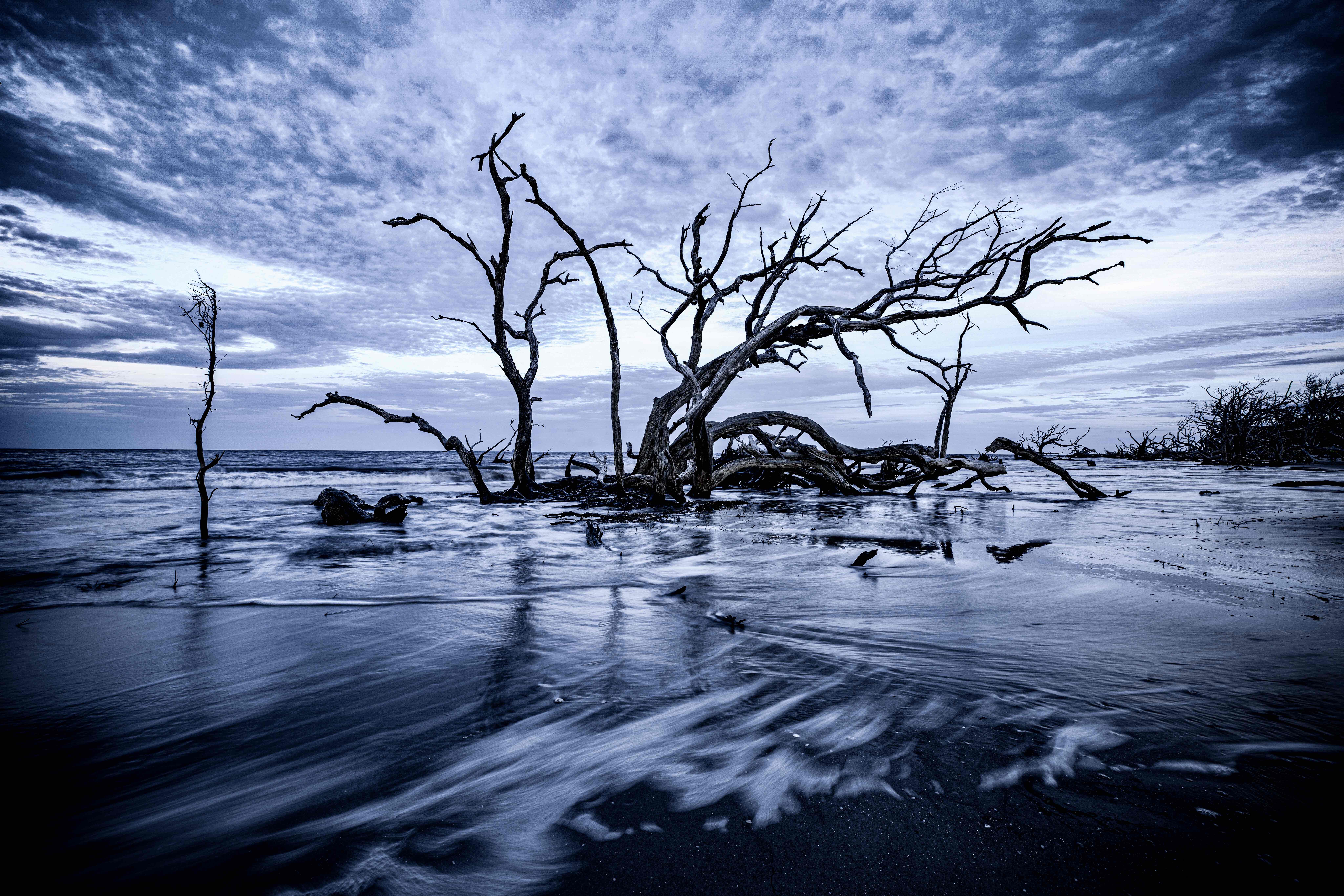 Driftwood Beach on Jekyll Island