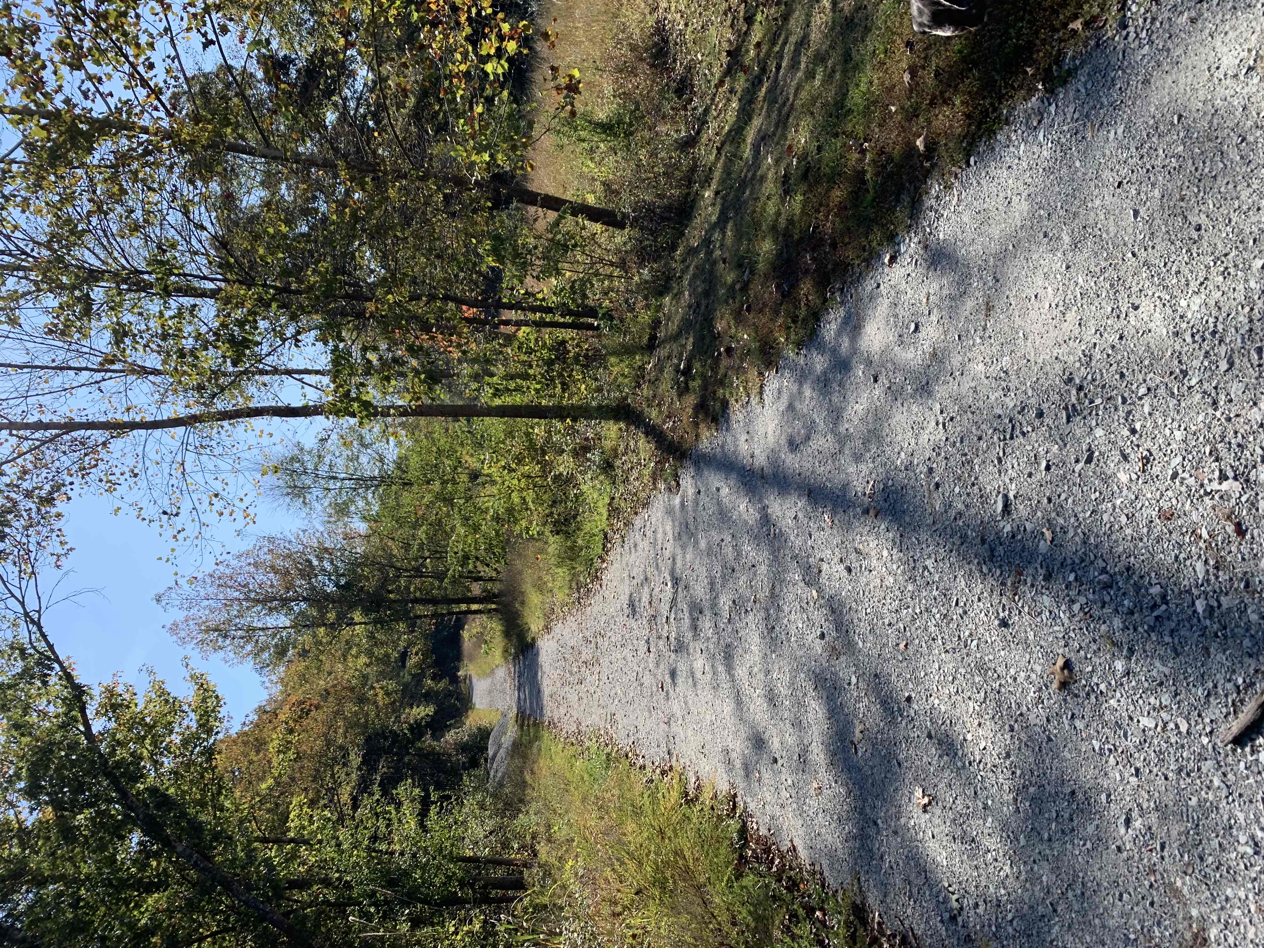 Cub Lake Trail
