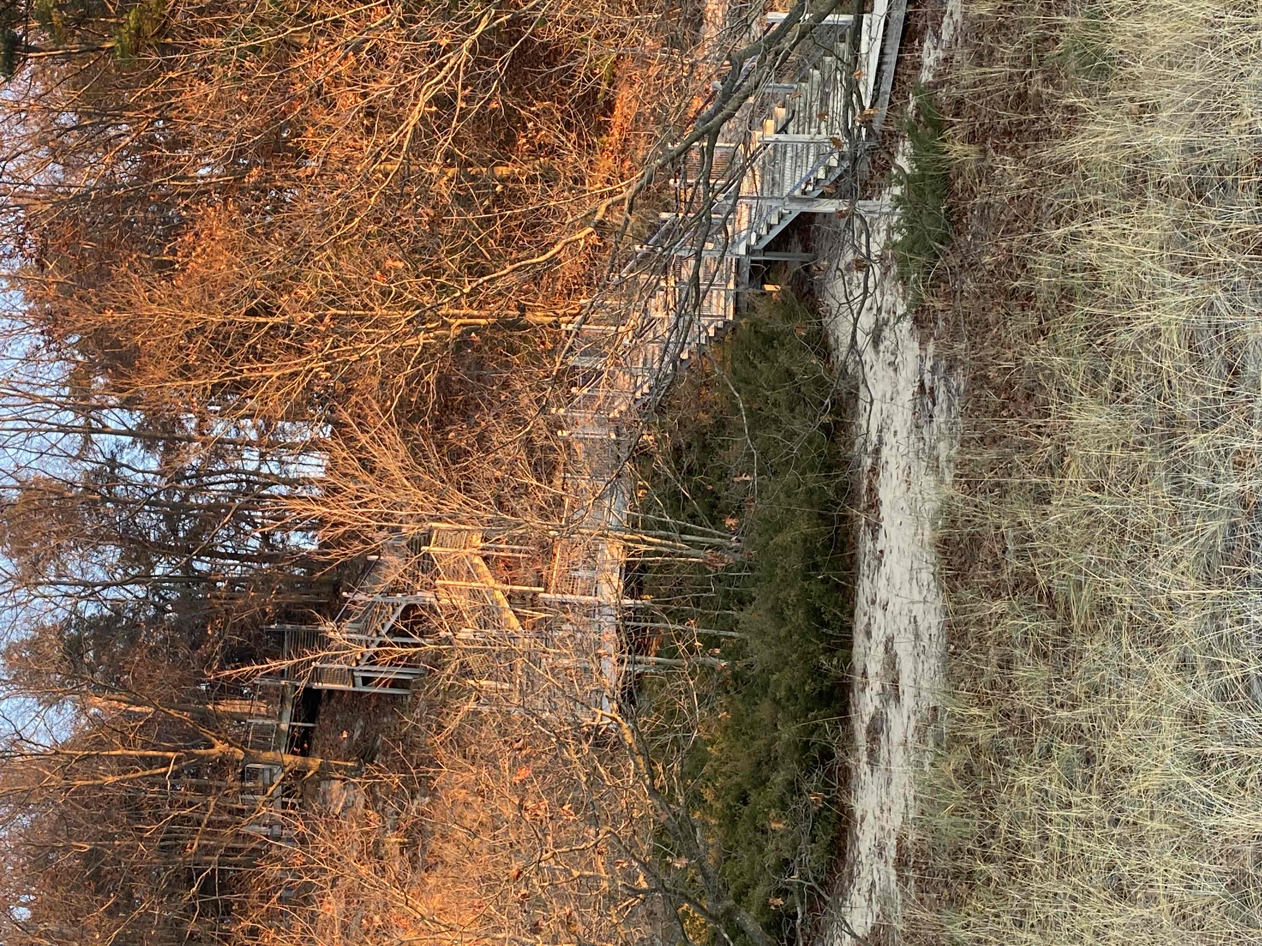 Rosy Mound Natural Area Trail