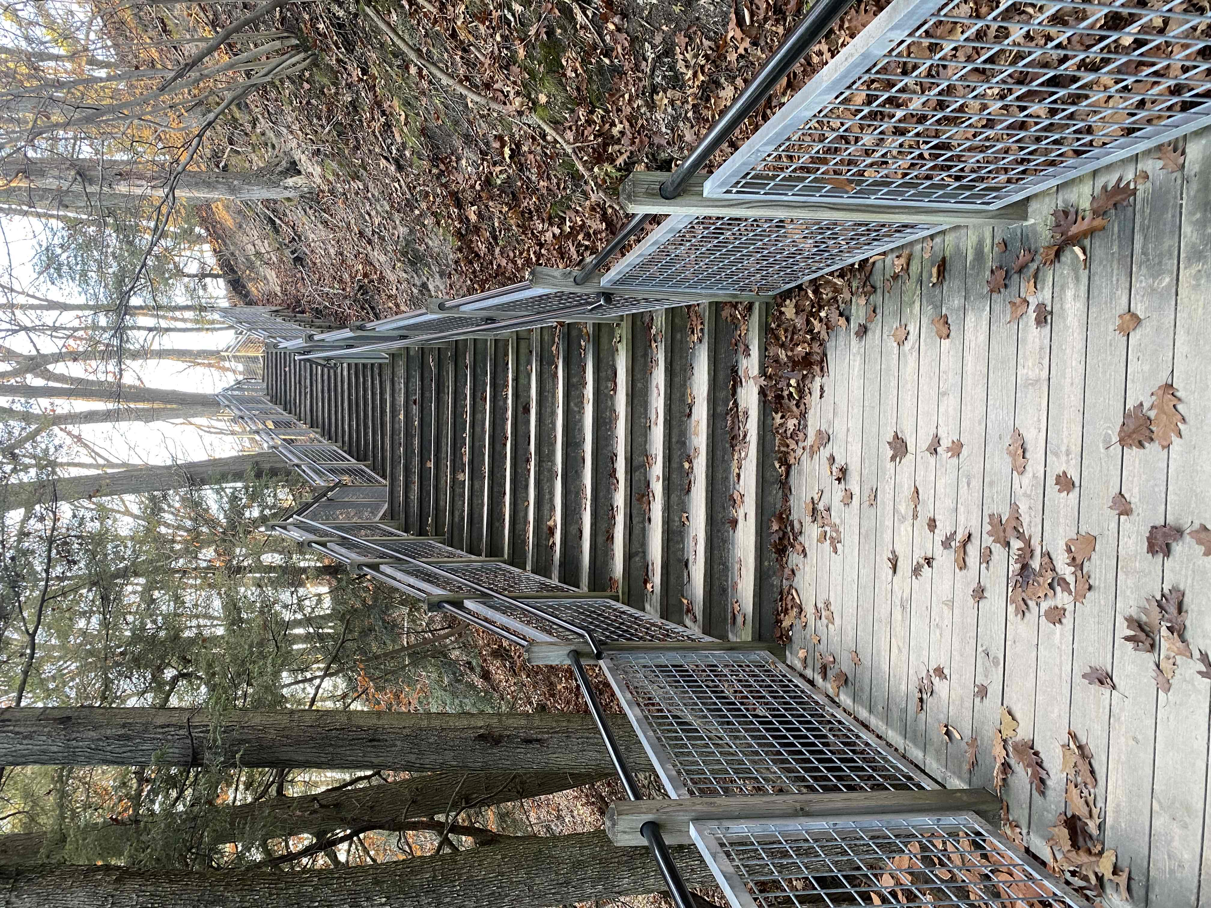 Rosy Mound Natural Area Trail