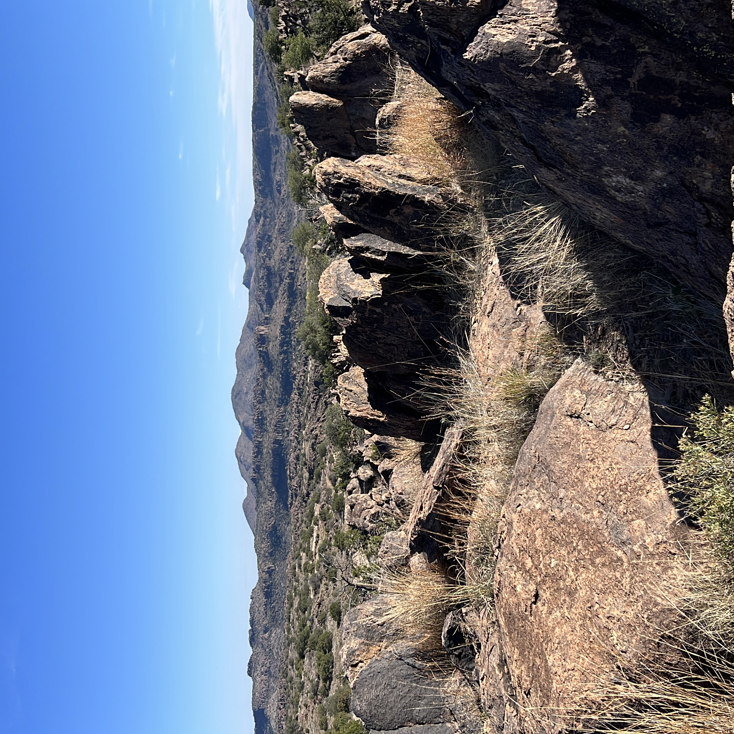 Clayton’s Overlook Loop