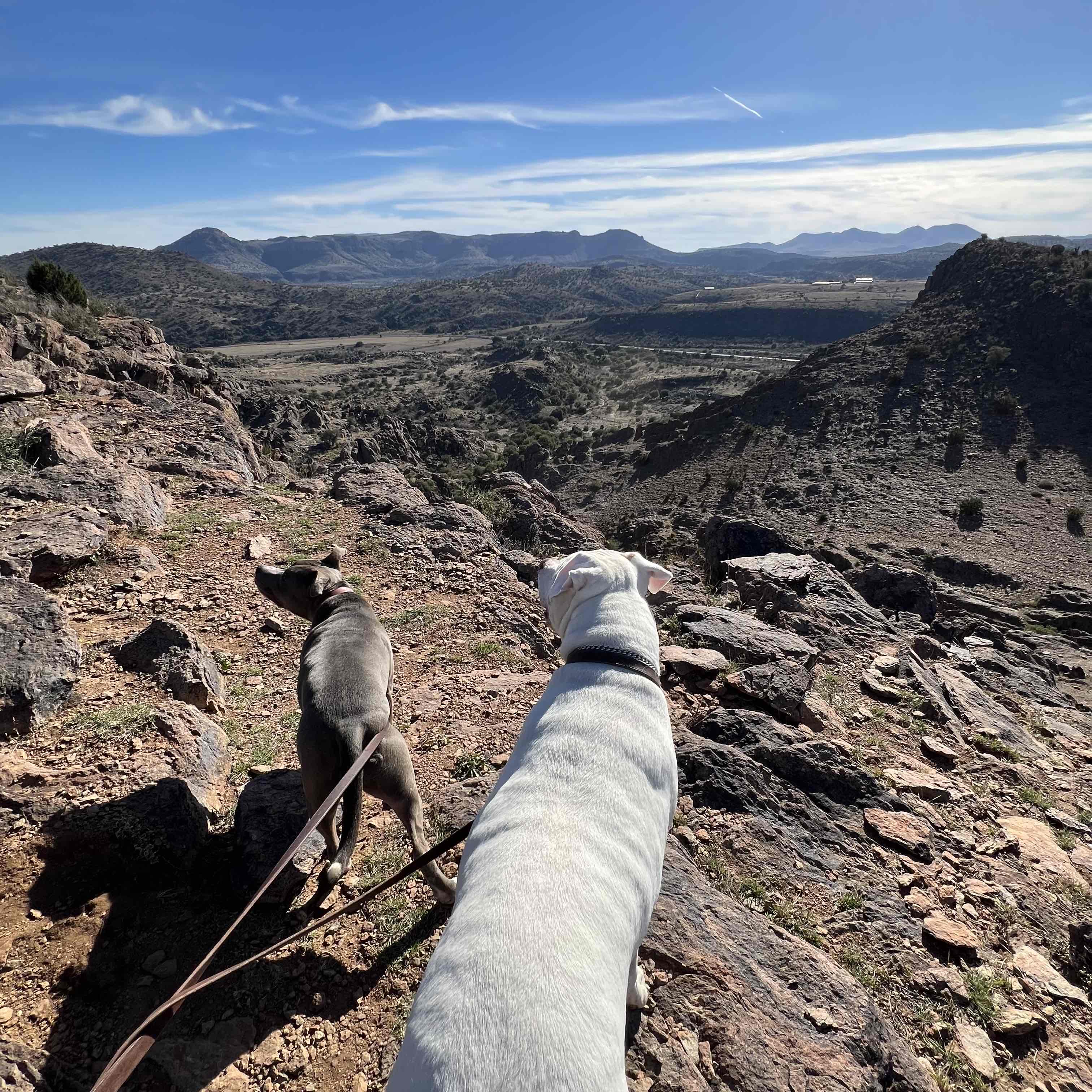 Clayton’s Overlook Loop