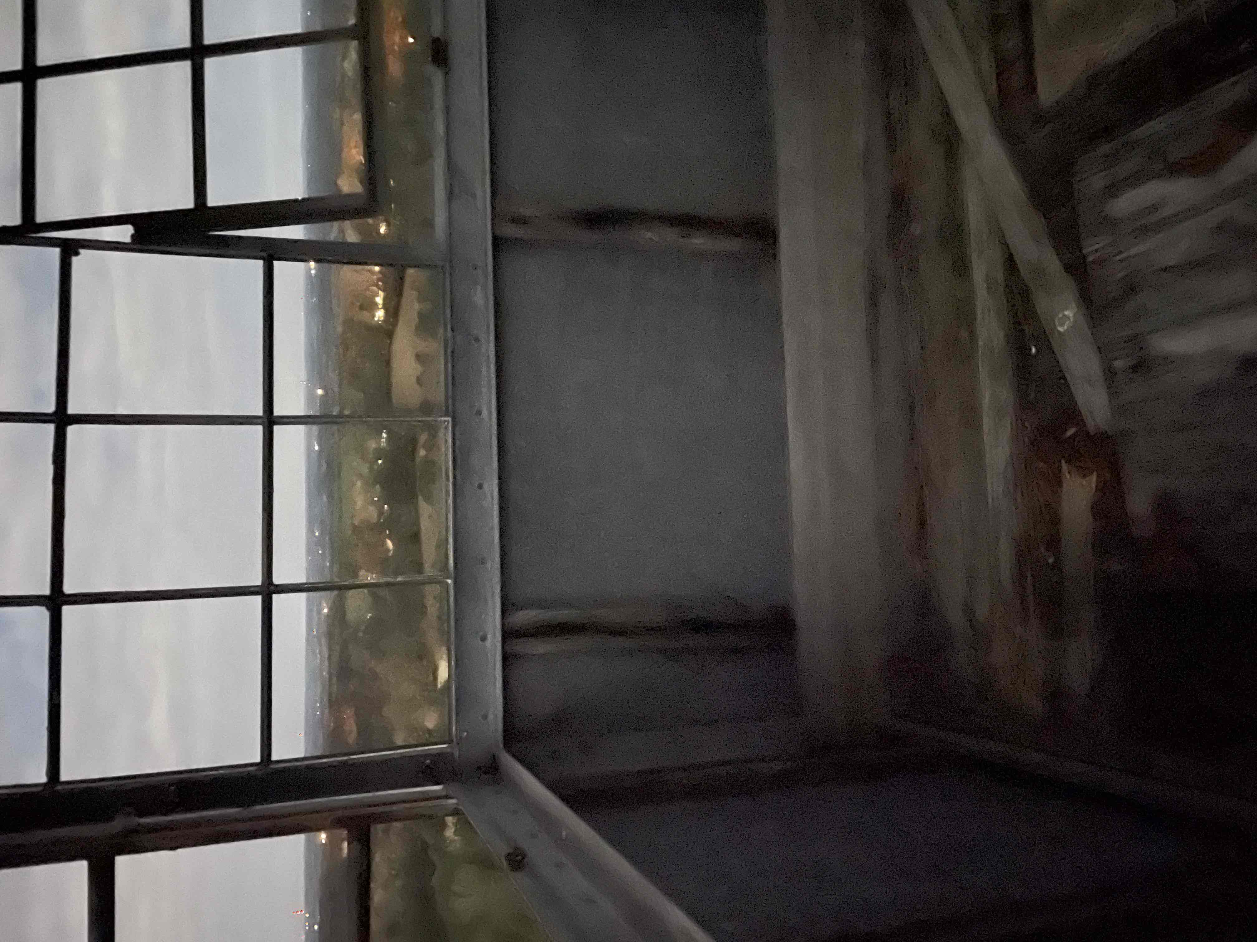 Climb the Unnamed Fire Tower in Tuscaloosa